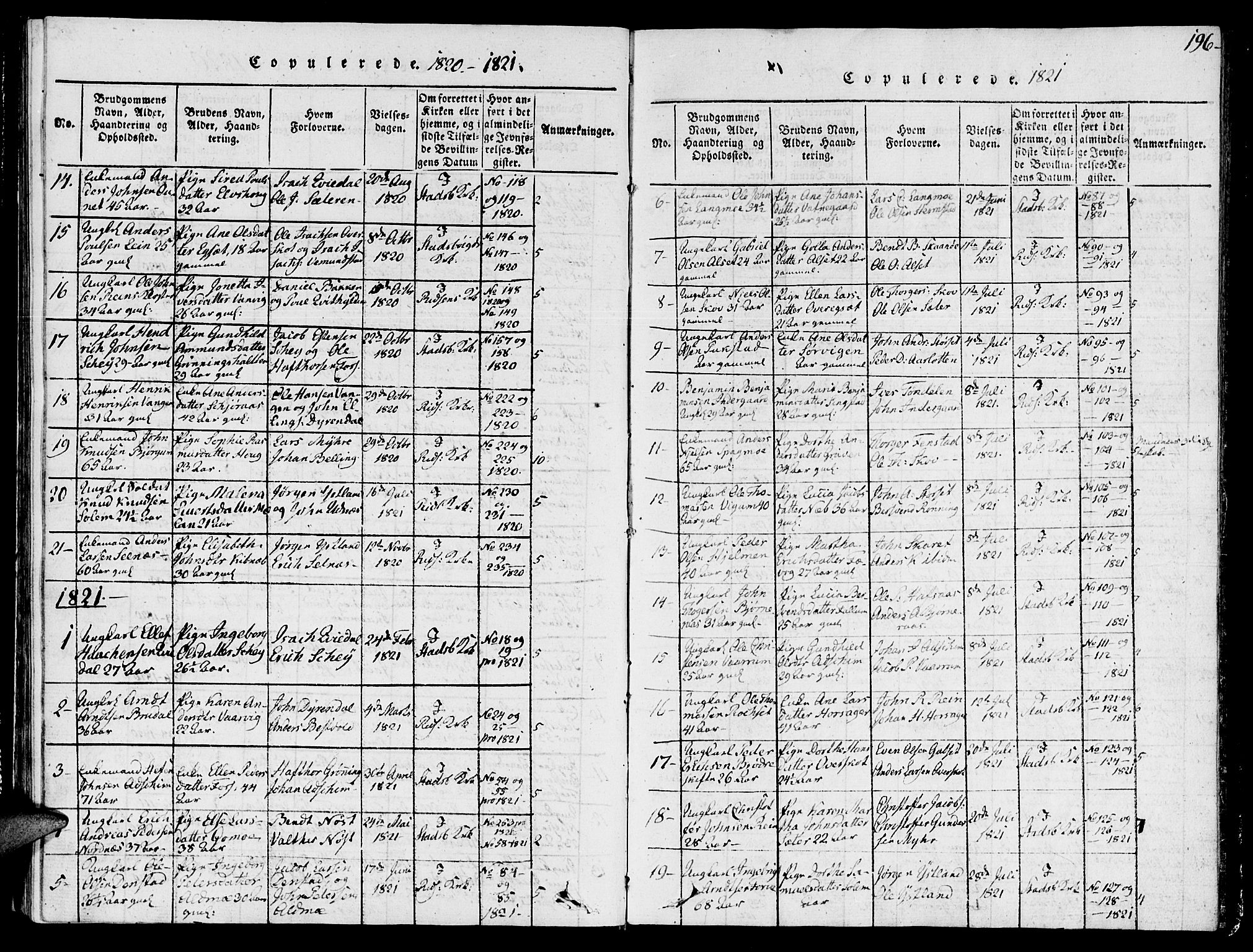 Ministerialprotokoller, klokkerbøker og fødselsregistre - Sør-Trøndelag, AV/SAT-A-1456/646/L0608: Ministerialbok nr. 646A06, 1816-1825, s. 196