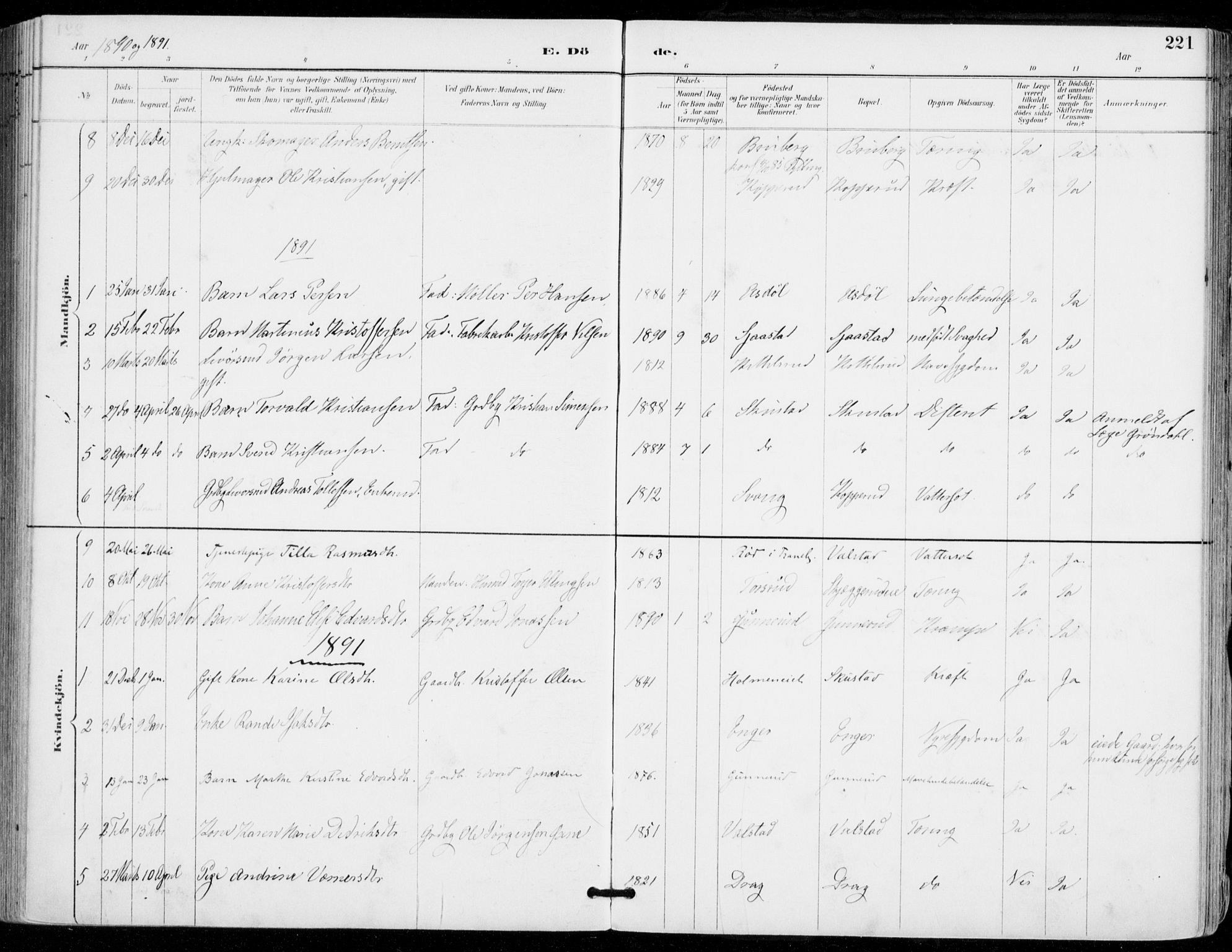 Sylling kirkebøker, AV/SAKO-A-247/F/Fa/L0001: Ministerialbok nr. 1, 1883-1910, s. 221