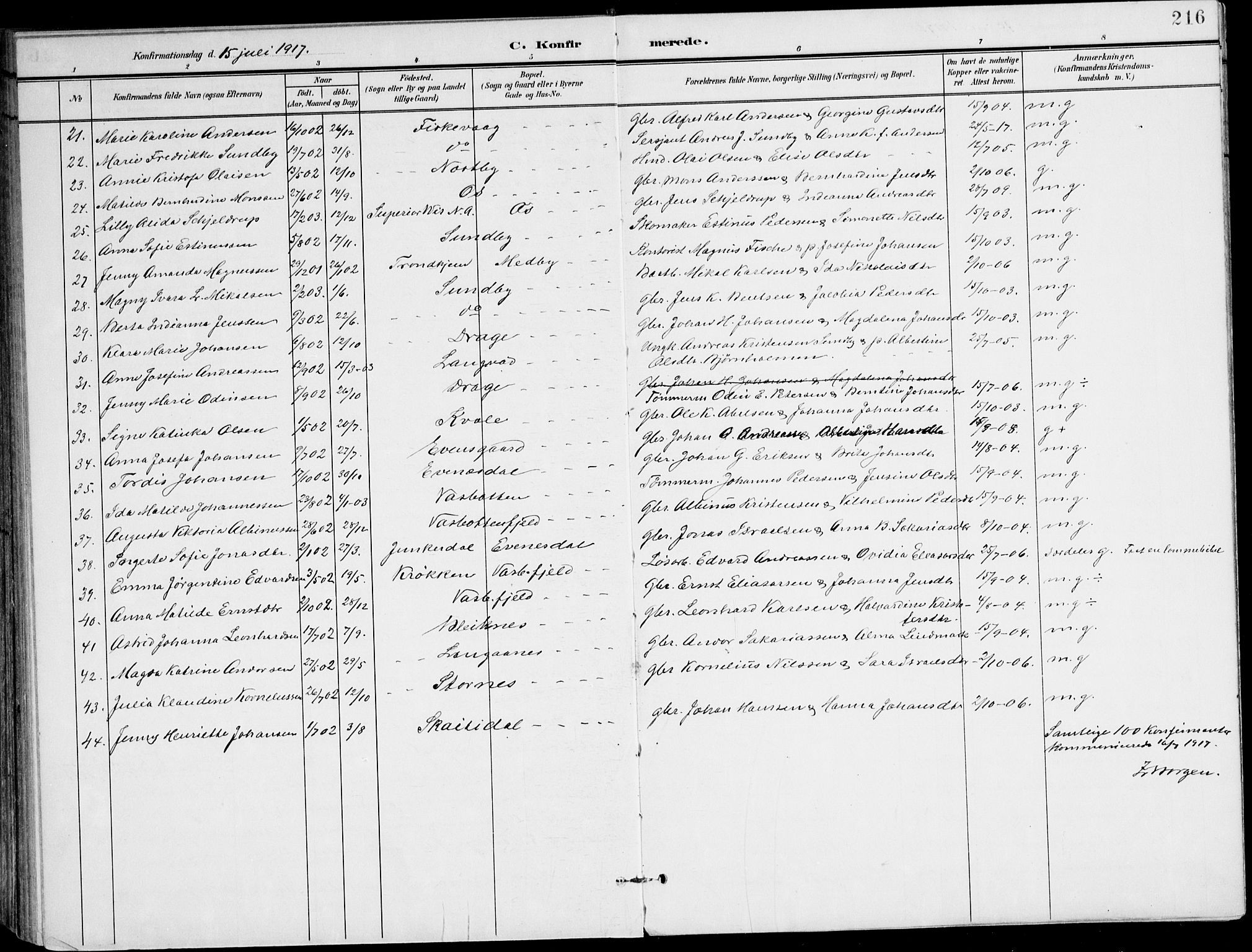 Ministerialprotokoller, klokkerbøker og fødselsregistre - Nordland, AV/SAT-A-1459/847/L0672: Ministerialbok nr. 847A12, 1902-1919, s. 216