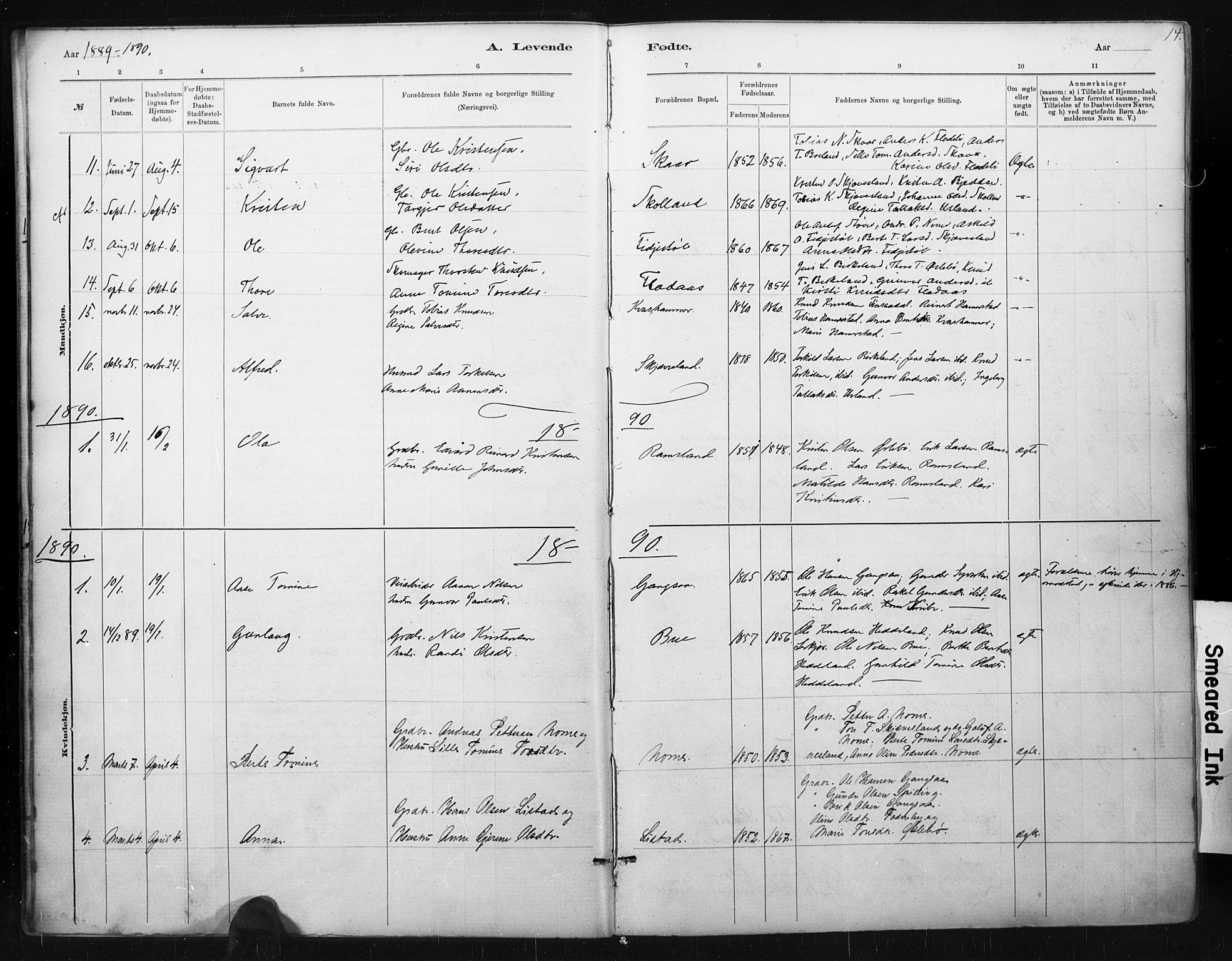 Holum sokneprestkontor, AV/SAK-1111-0022/F/Fa/Fac/L0004: Ministerialbok nr. A 4, 1884-1907, s. 14