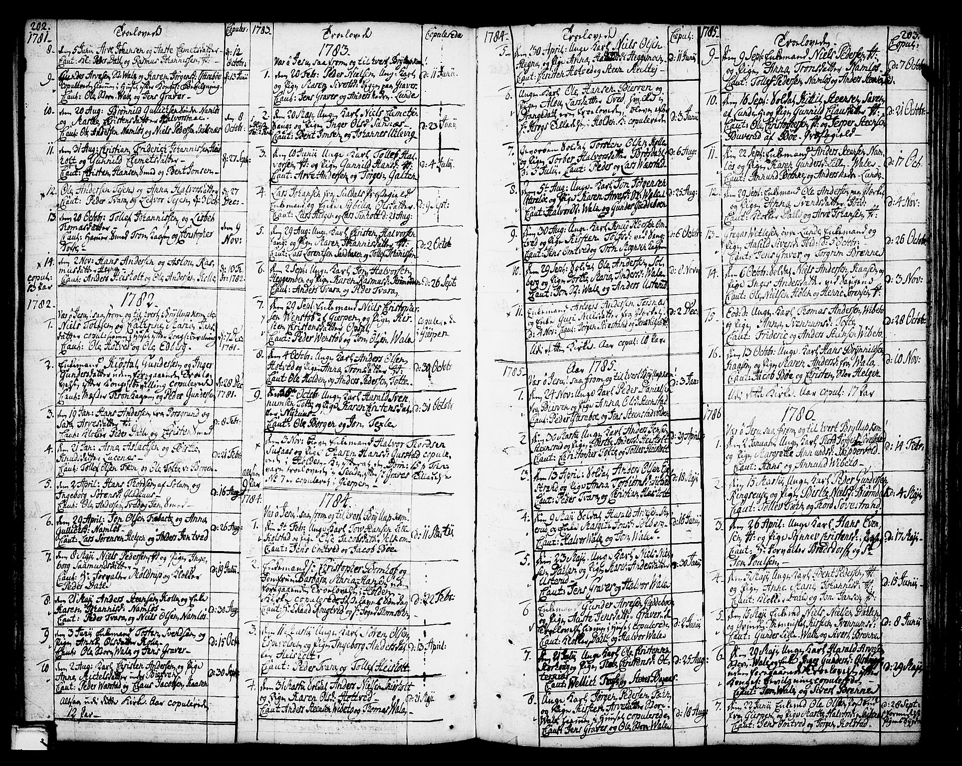 Holla kirkebøker, AV/SAKO-A-272/F/Fa/L0002: Ministerialbok nr. 2, 1779-1814, s. 202-203