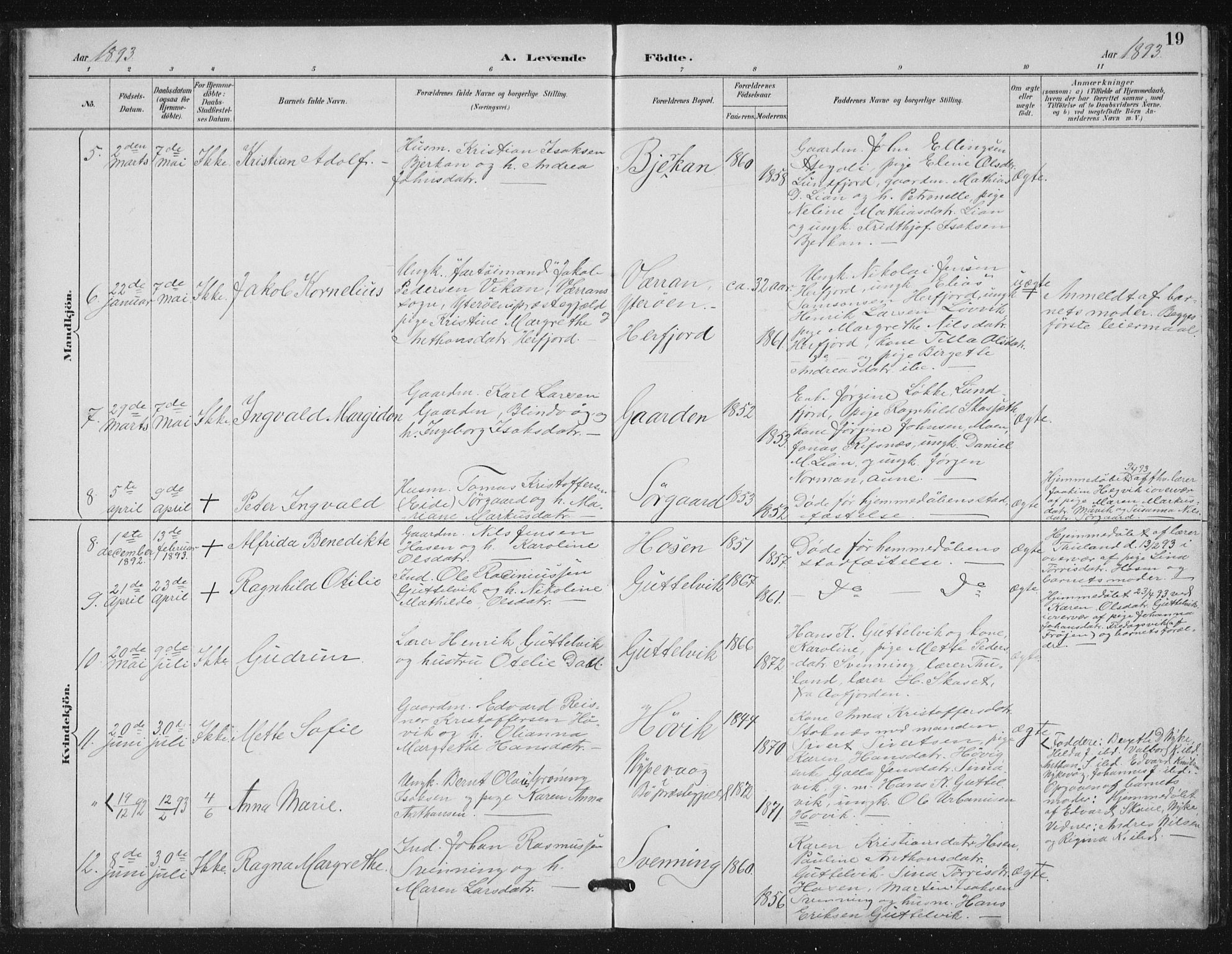 Ministerialprotokoller, klokkerbøker og fødselsregistre - Sør-Trøndelag, AV/SAT-A-1456/656/L0698: Klokkerbok nr. 656C04, 1890-1904, s. 19