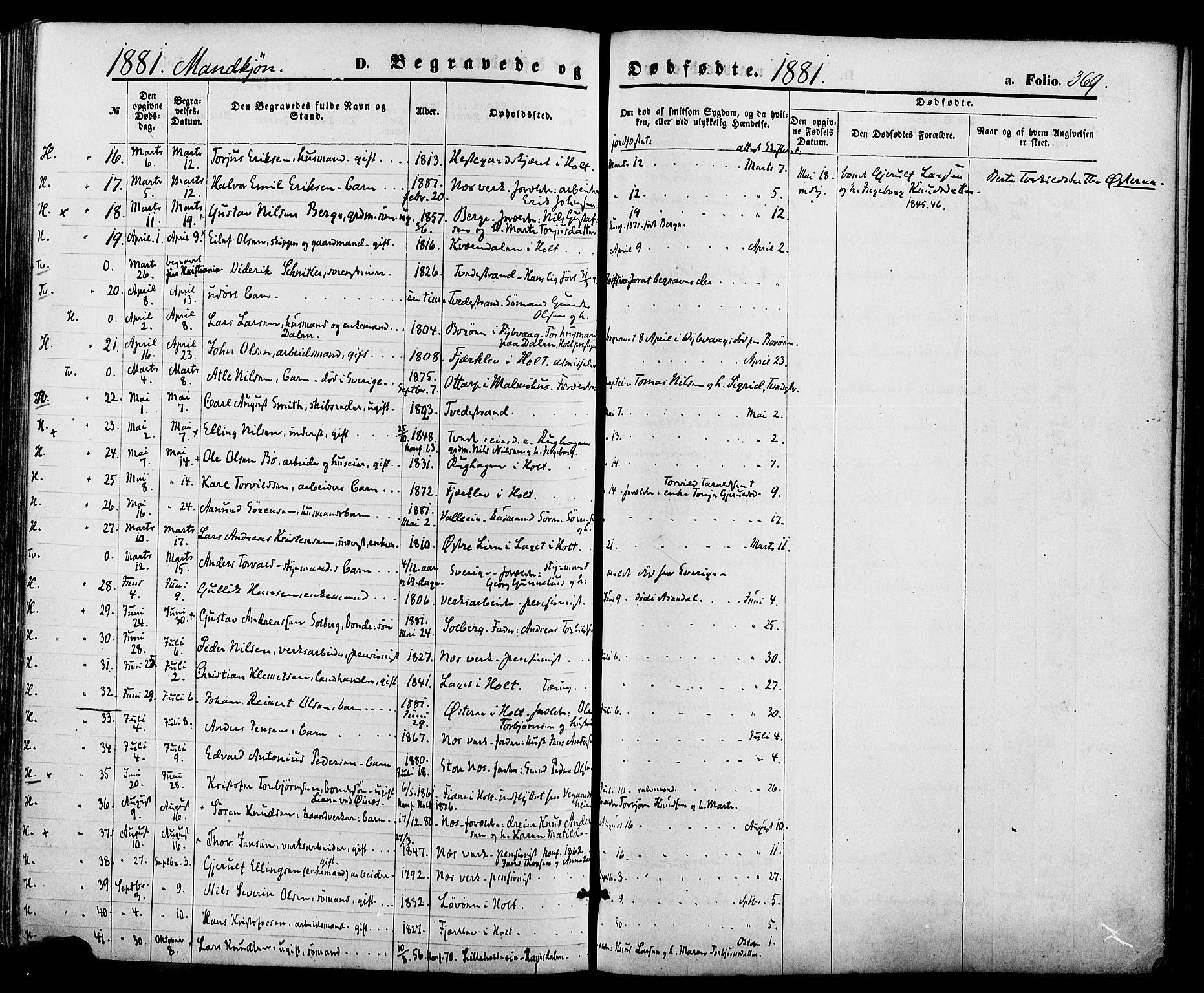 Holt sokneprestkontor, AV/SAK-1111-0021/F/Fa/L0010: Ministerialbok nr. A 10, 1872-1885, s. 369