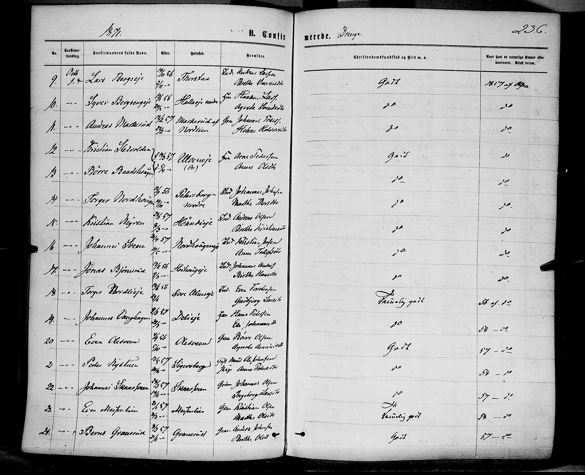 Ringsaker prestekontor, AV/SAH-PREST-014/K/Ka/L0011: Ministerialbok nr. 11, 1870-1878, s. 236