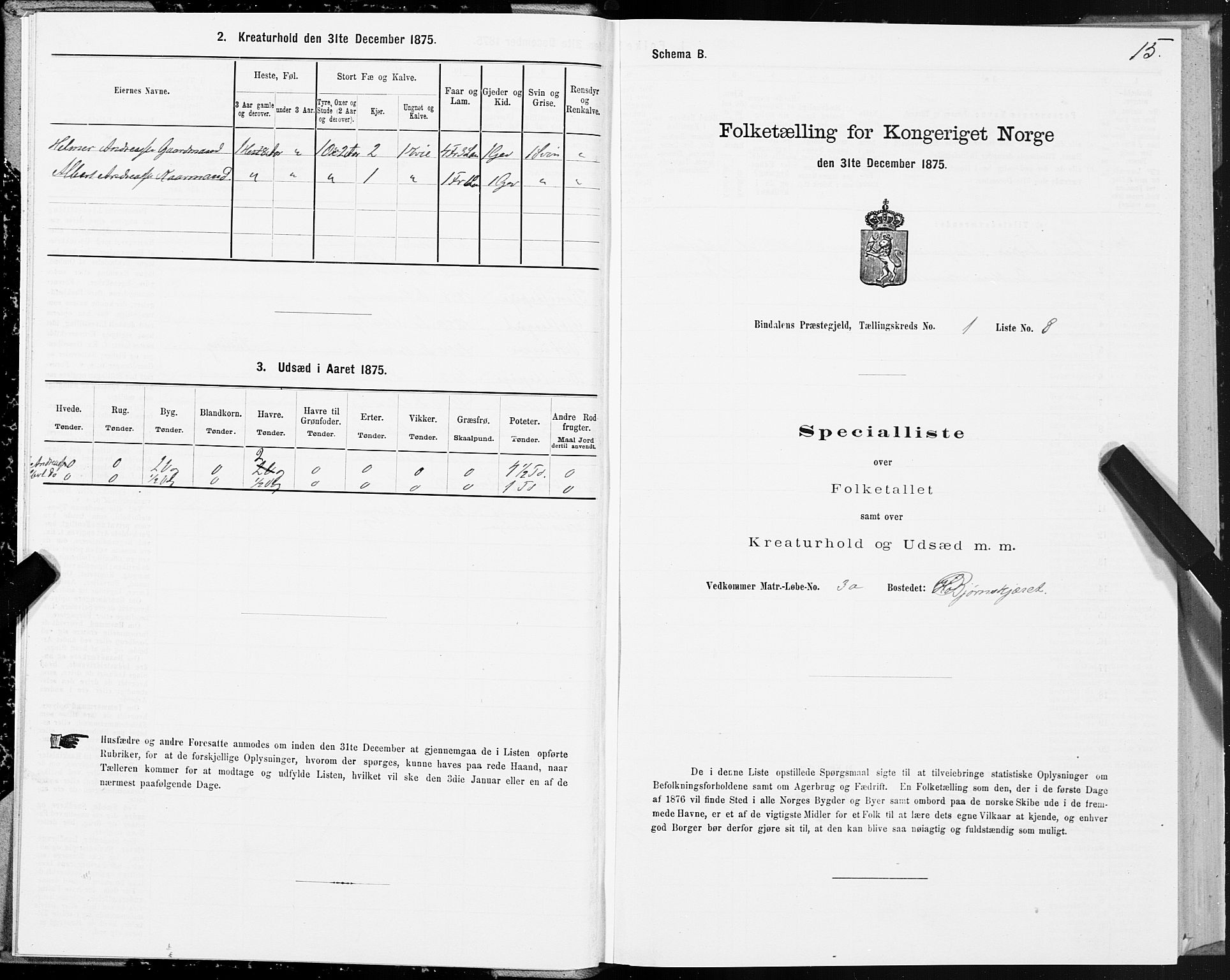 SAT, Folketelling 1875 for 1811P Bindal prestegjeld, 1875, s. 1015