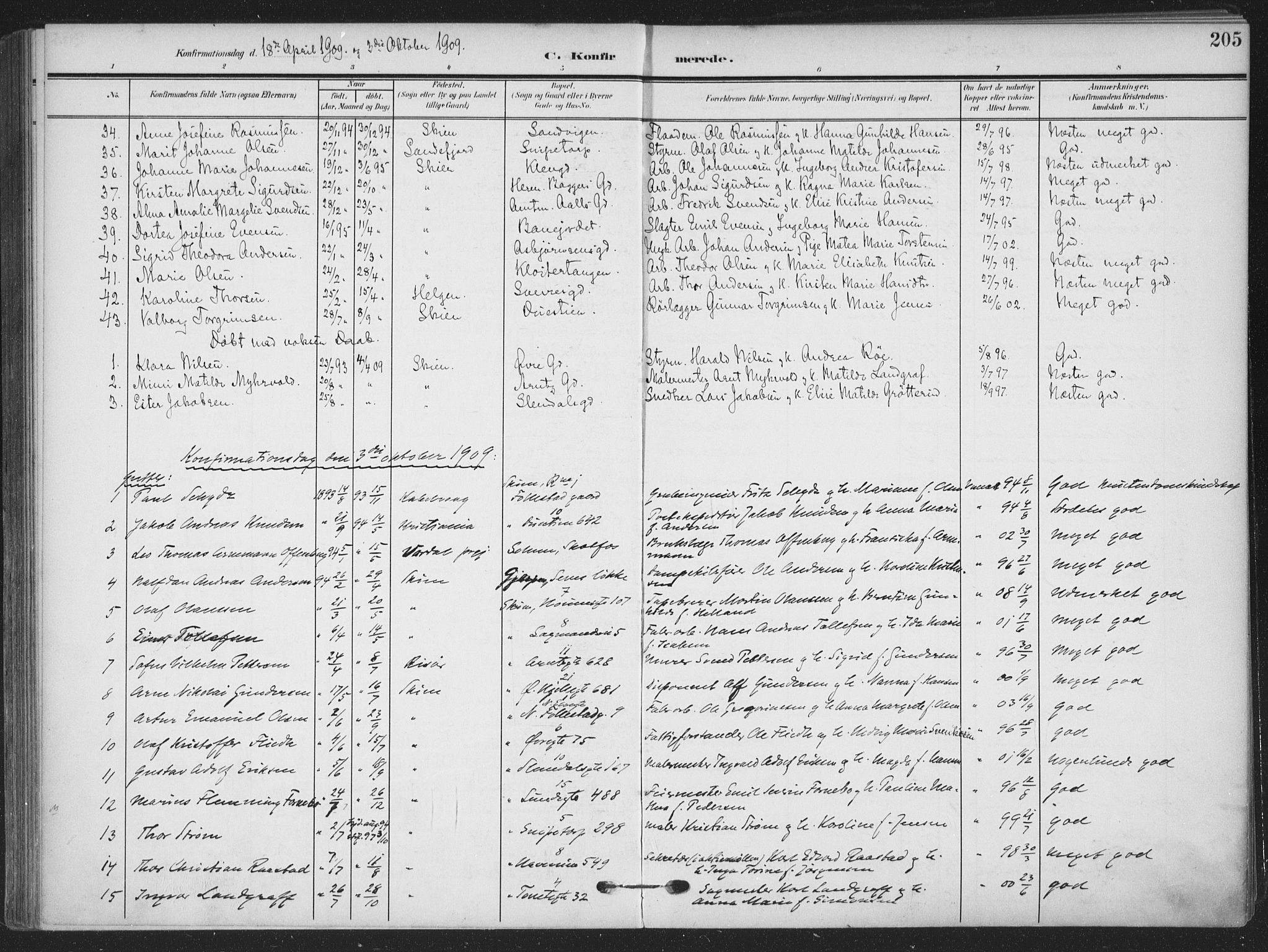 Skien kirkebøker, AV/SAKO-A-302/F/Fa/L0012: Ministerialbok nr. 12, 1908-1914, s. 205
