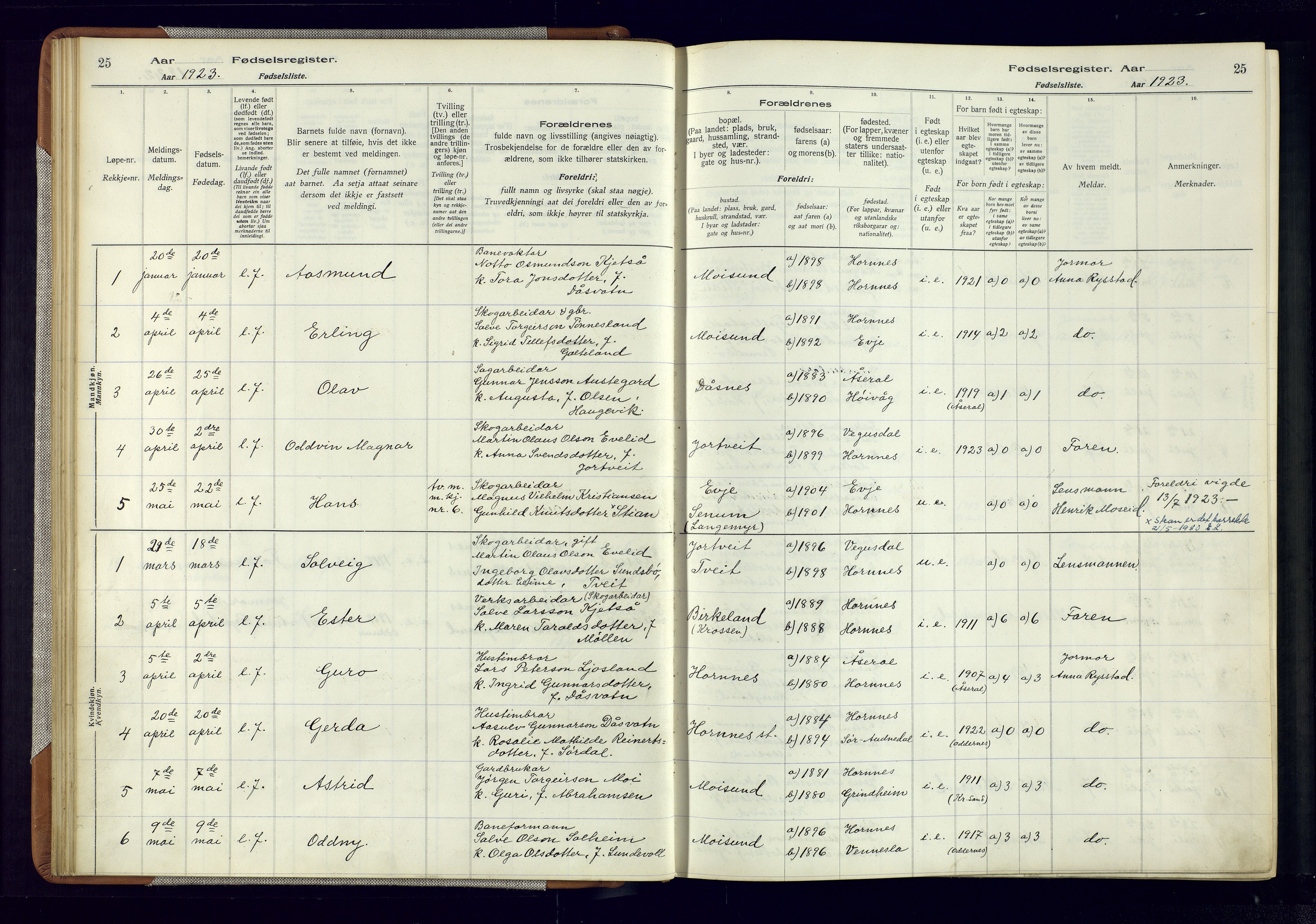 Evje sokneprestkontor, SAK/1111-0008/J/Jc/L0006: Fødselsregister nr. 6, 1916-1982, s. 25