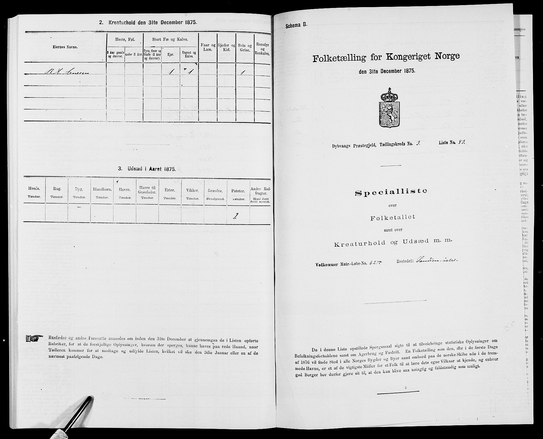 SAK, Folketelling 1875 for 0915P Dypvåg prestegjeld, 1875, s. 424