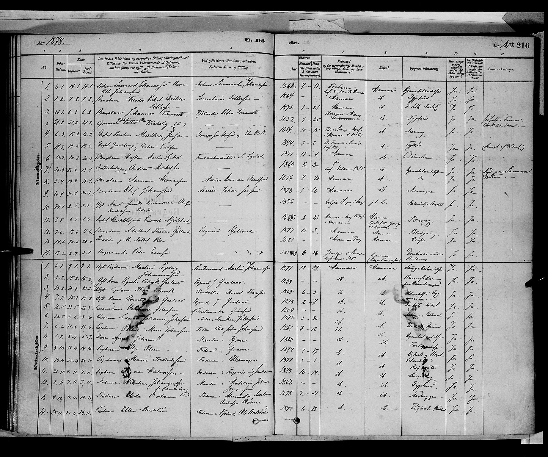 Vang prestekontor, Hedmark, AV/SAH-PREST-008/H/Ha/Haa/L0016: Ministerialbok nr. 16, 1878-1889, s. 216