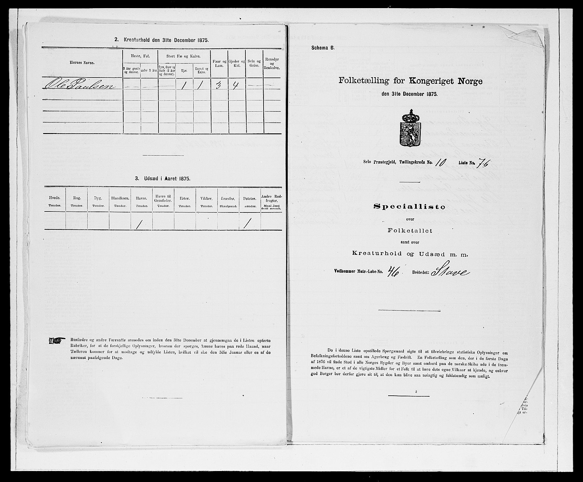 SAB, Folketelling 1875 for 1441P Selje prestegjeld, 1875, s. 1372