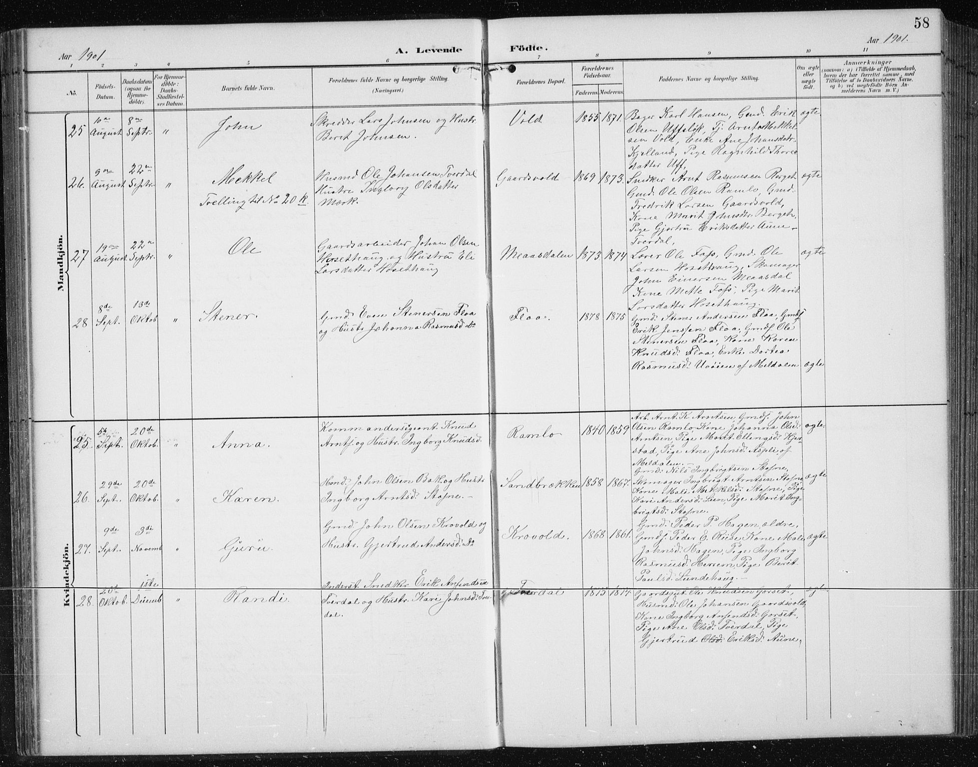 Ministerialprotokoller, klokkerbøker og fødselsregistre - Sør-Trøndelag, SAT/A-1456/674/L0876: Klokkerbok nr. 674C03, 1892-1912, s. 58