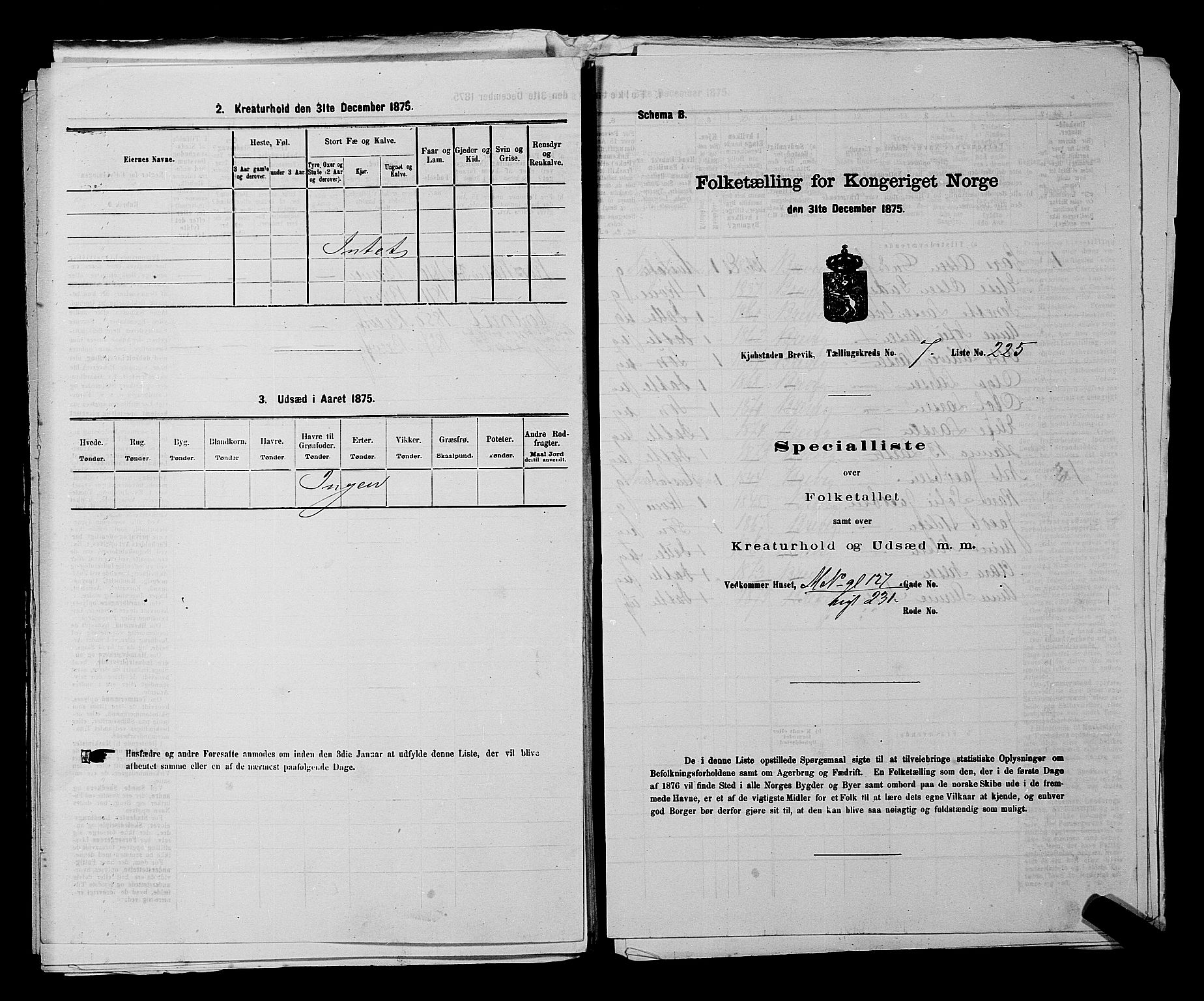 SAKO, Folketelling 1875 for 0804P Brevik prestegjeld, 1875, s. 484