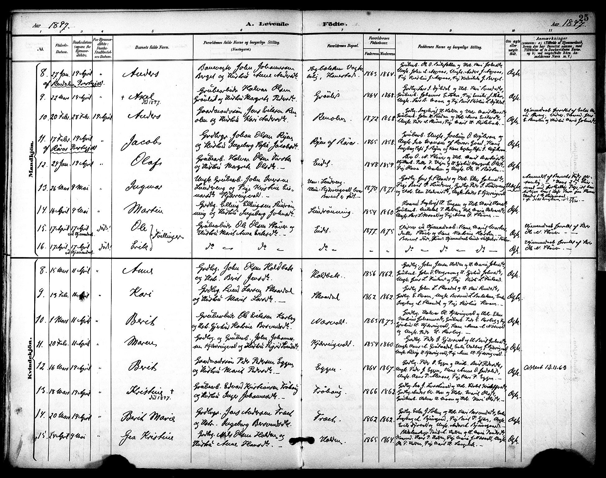 Ministerialprotokoller, klokkerbøker og fødselsregistre - Sør-Trøndelag, SAT/A-1456/686/L0984: Ministerialbok nr. 686A02, 1891-1906, s. 25