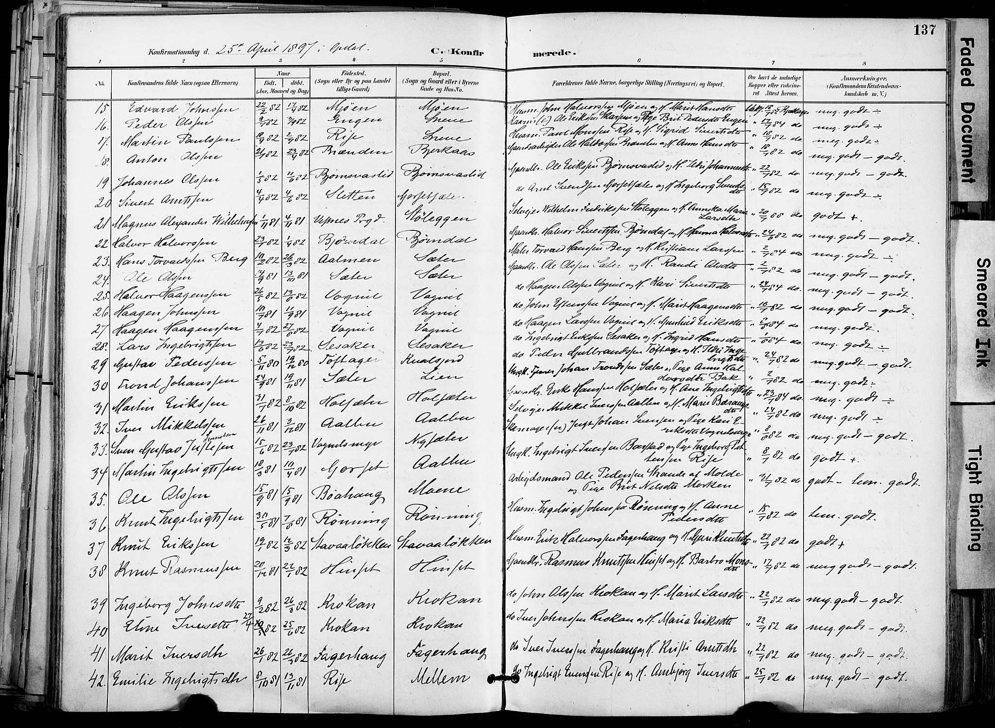 Ministerialprotokoller, klokkerbøker og fødselsregistre - Sør-Trøndelag, AV/SAT-A-1456/678/L0902: Ministerialbok nr. 678A11, 1895-1911, s. 137