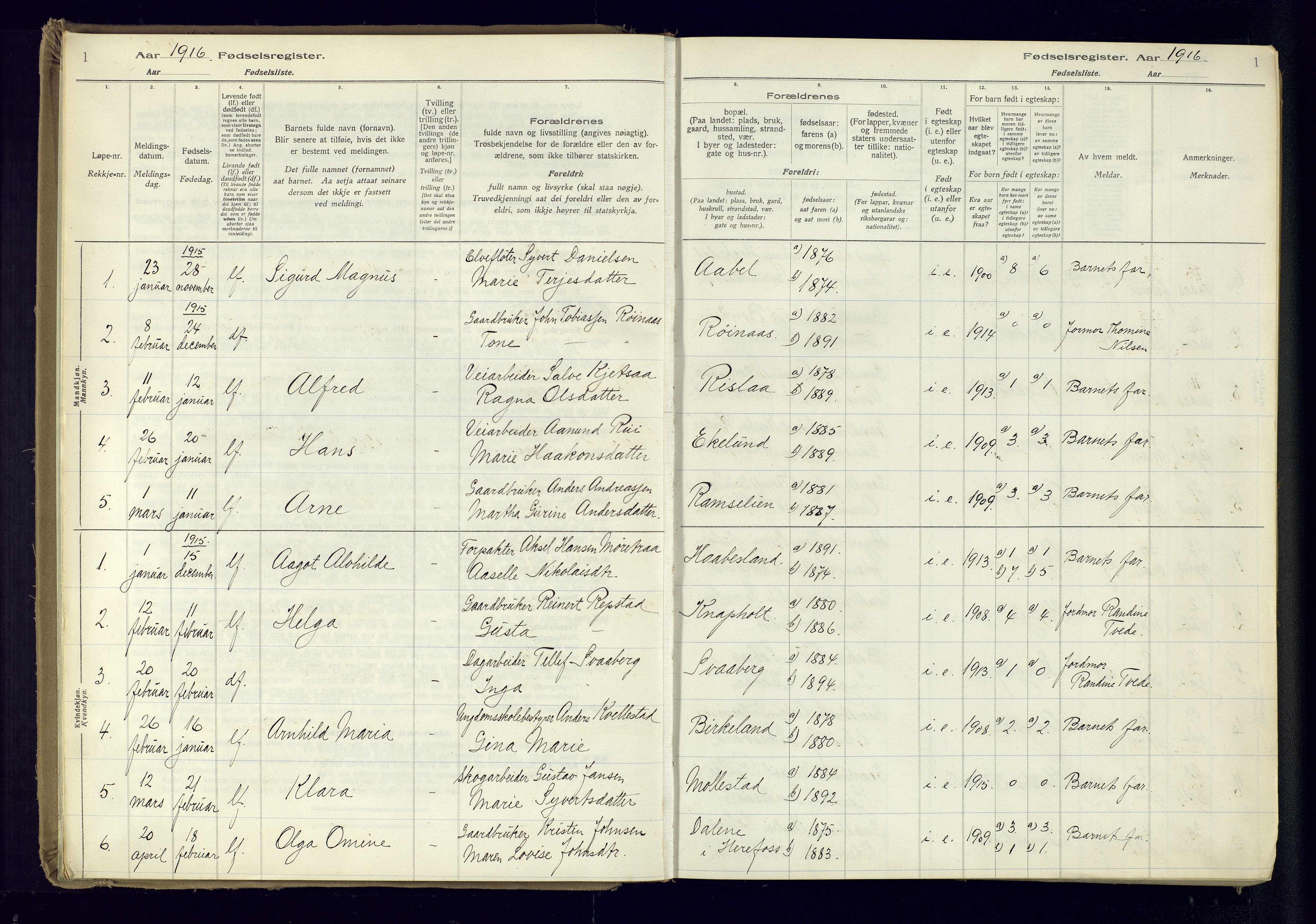 Birkenes sokneprestkontor, SAK/1111-0004/J/Ja/L0001: Fødselsregister nr. II.6.4, 1916-1962, s. 1