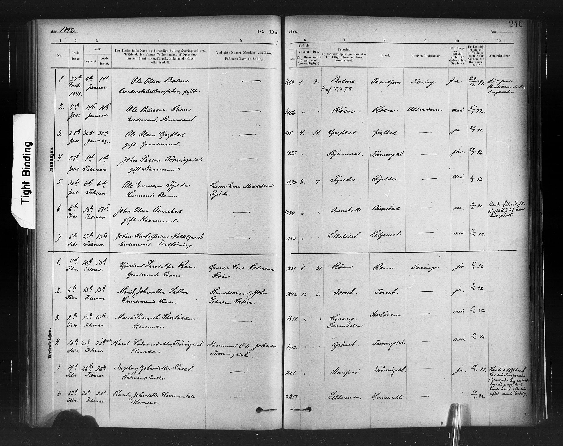 Ministerialprotokoller, klokkerbøker og fødselsregistre - Møre og Romsdal, SAT/A-1454/598/L1069: Ministerialbok nr. 598A03, 1882-1895, s. 246