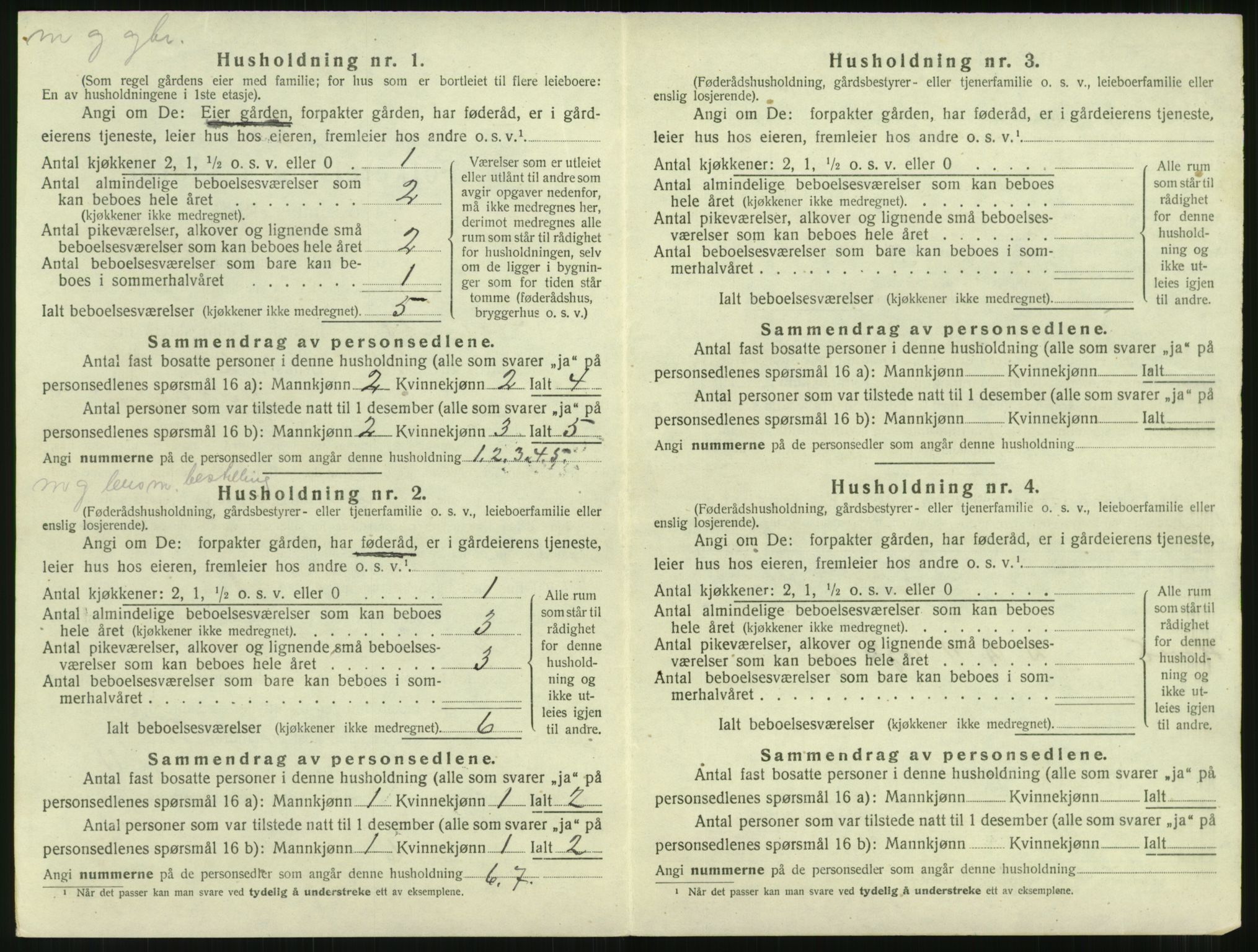 SAT, Folketelling 1920 for 1543 Nesset herred, 1920, s. 311