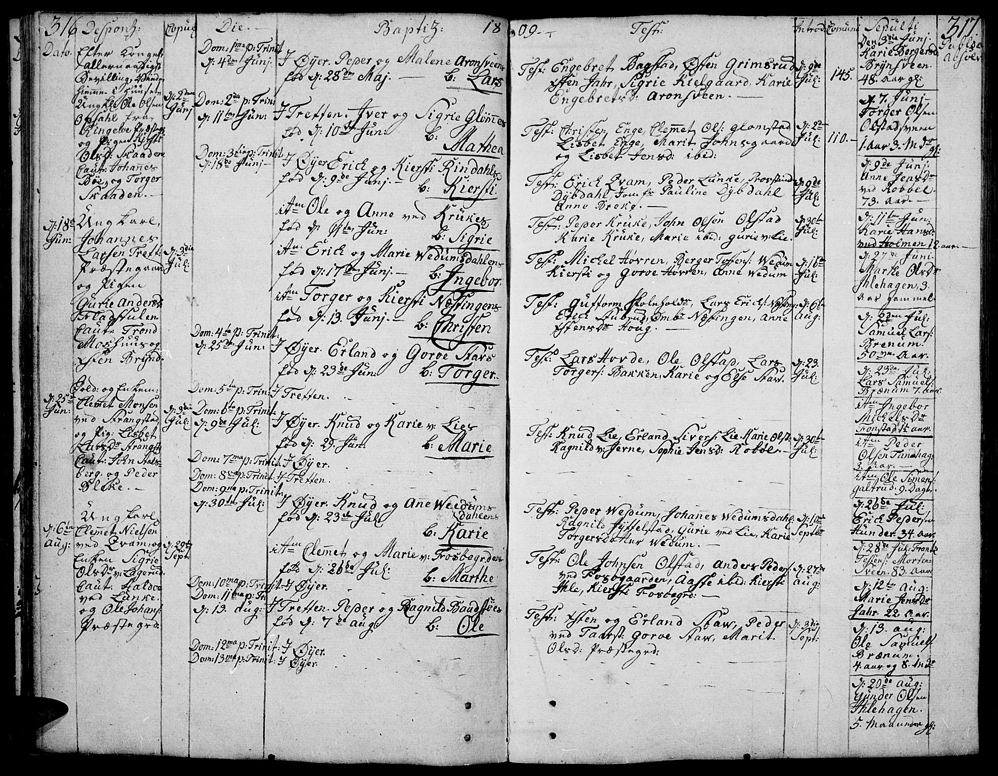 Øyer prestekontor, AV/SAH-PREST-084/H/Ha/Haa/L0003: Ministerialbok nr. 3, 1784-1824, s. 316-317