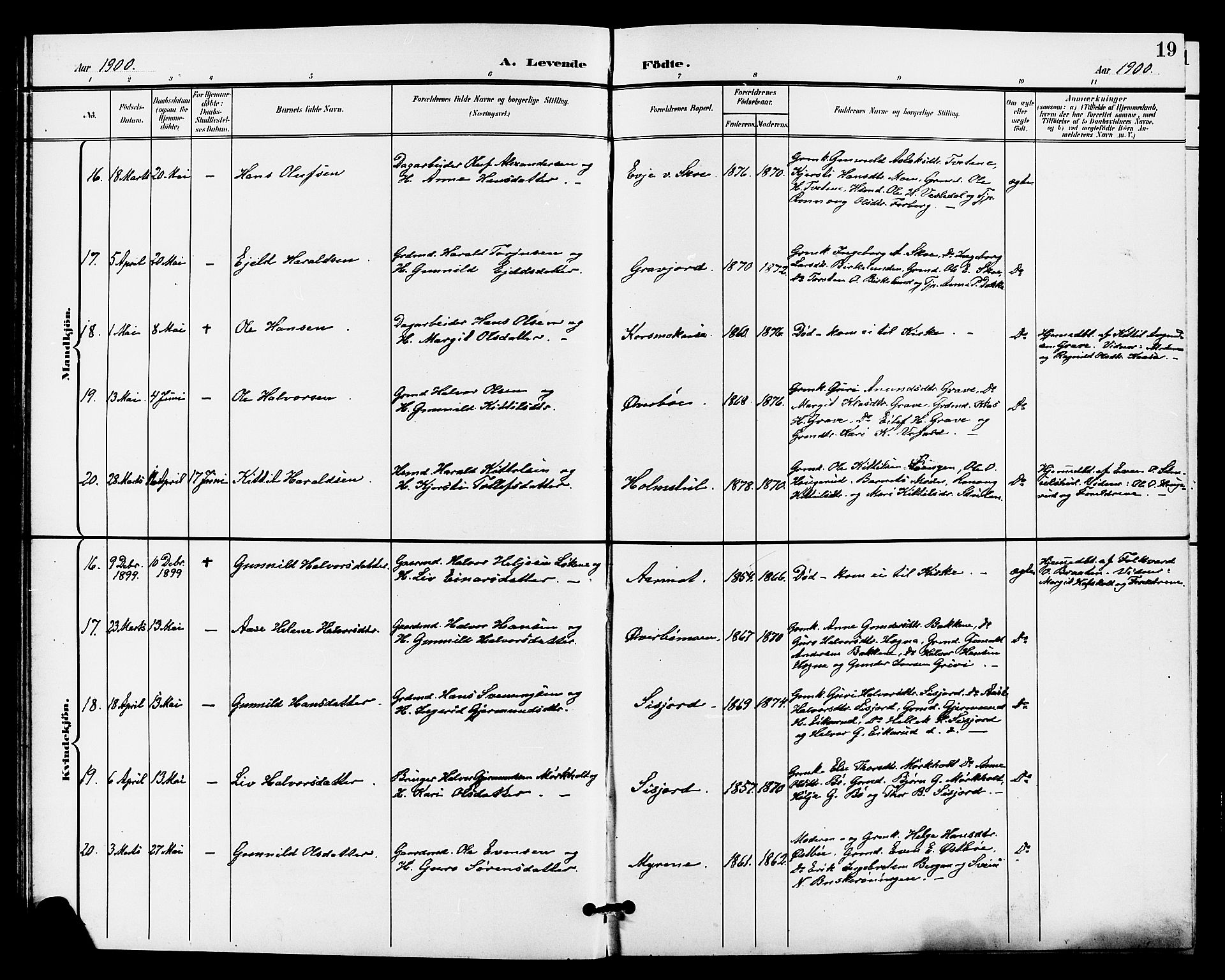 Bø kirkebøker, AV/SAKO-A-257/G/Ga/L0006: Klokkerbok nr. 6, 1898-1909, s. 19