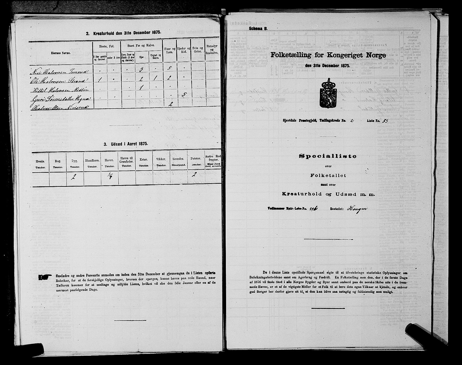 SAKO, Folketelling 1875 for 0827P Hjartdal prestegjeld, 1875, s. 313