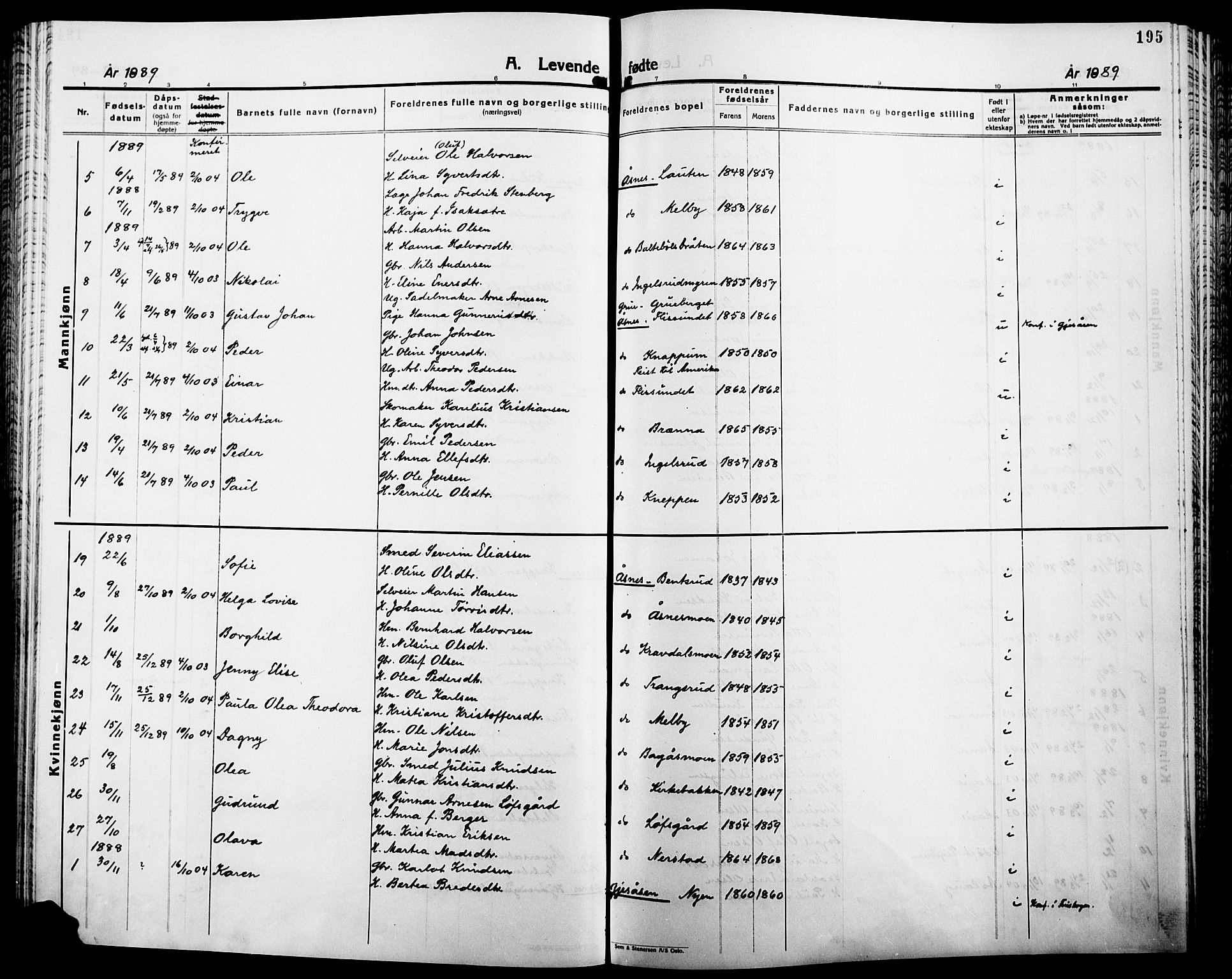 Åsnes prestekontor, SAH/PREST-042/H/Ha/Haa/L0000B: Ministerialbok, 1870-1889, s. 195