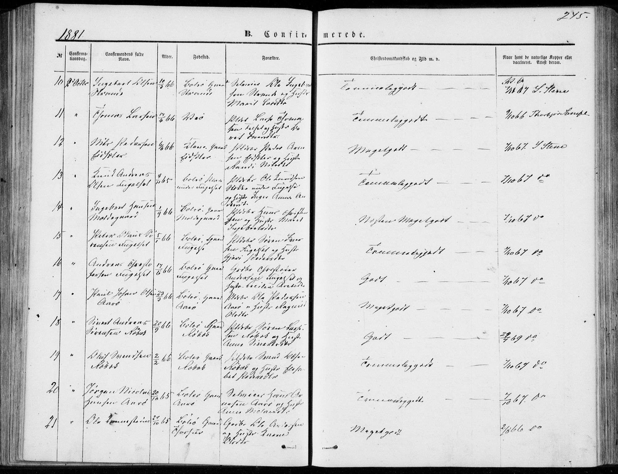 Ministerialprotokoller, klokkerbøker og fødselsregistre - Møre og Romsdal, AV/SAT-A-1454/555/L0655: Ministerialbok nr. 555A05, 1869-1886, s. 245