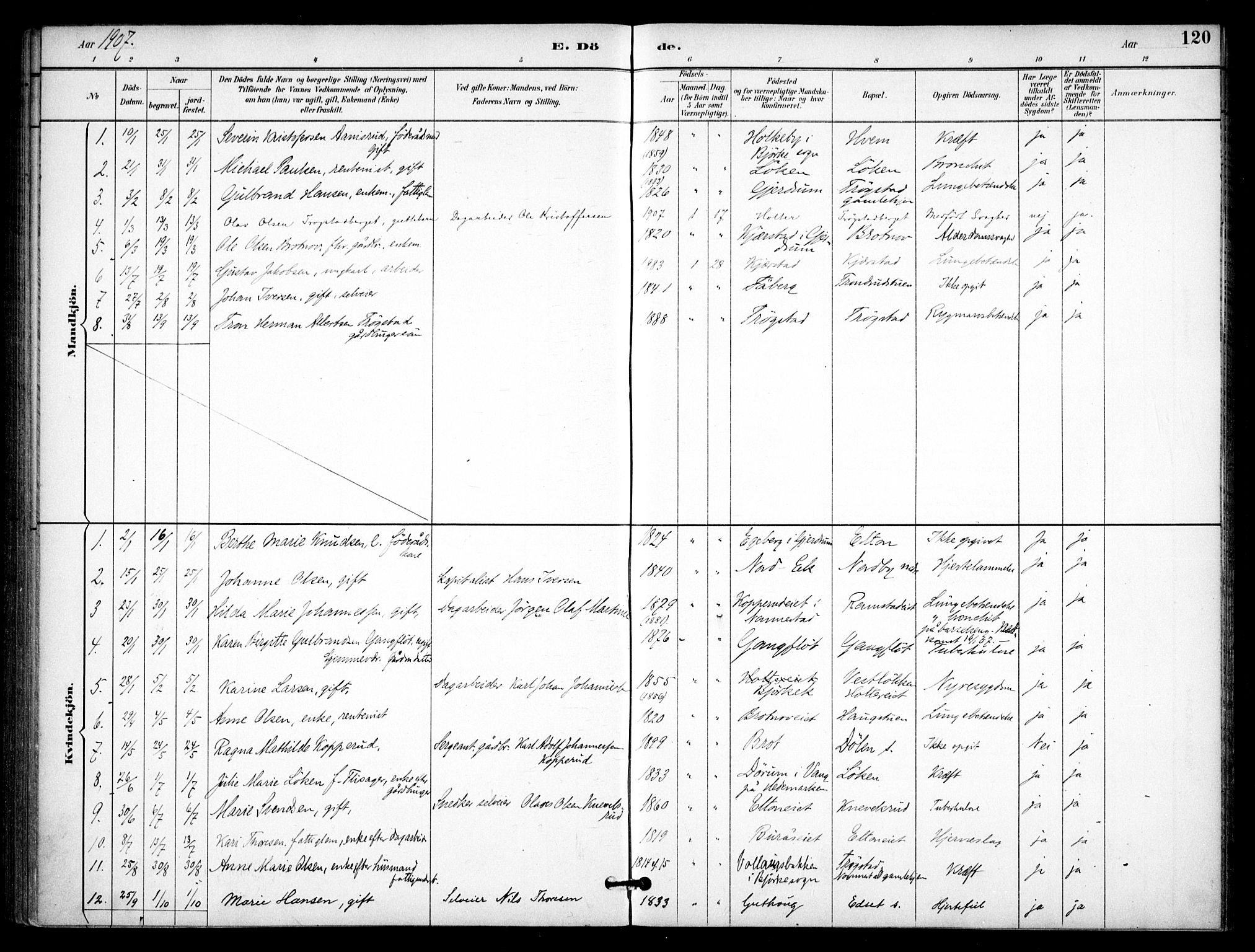 Nannestad prestekontor Kirkebøker, AV/SAO-A-10414a/F/Fb/L0002: Ministerialbok nr. II 2, 1891-1909, s. 120