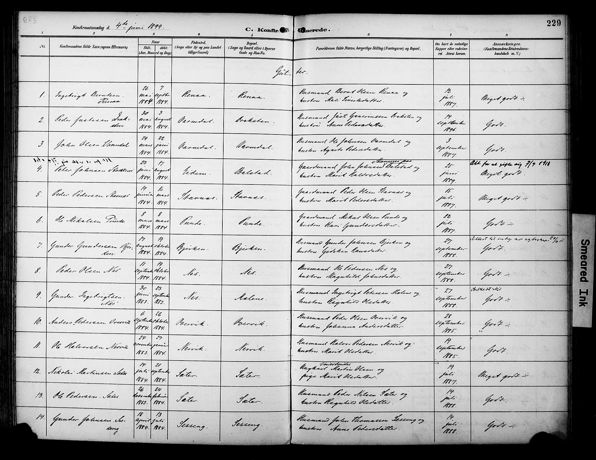 Ministerialprotokoller, klokkerbøker og fødselsregistre - Sør-Trøndelag, SAT/A-1456/695/L1149: Ministerialbok nr. 695A09, 1891-1902, s. 229