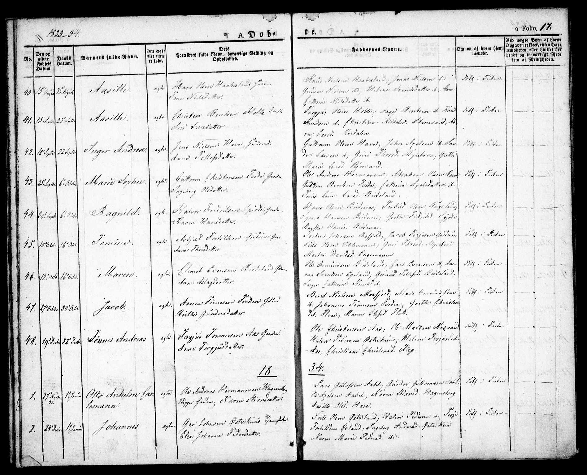Birkenes sokneprestkontor, AV/SAK-1111-0004/F/Fa/L0001: Ministerialbok nr. A 1, 1829-1849, s. 17