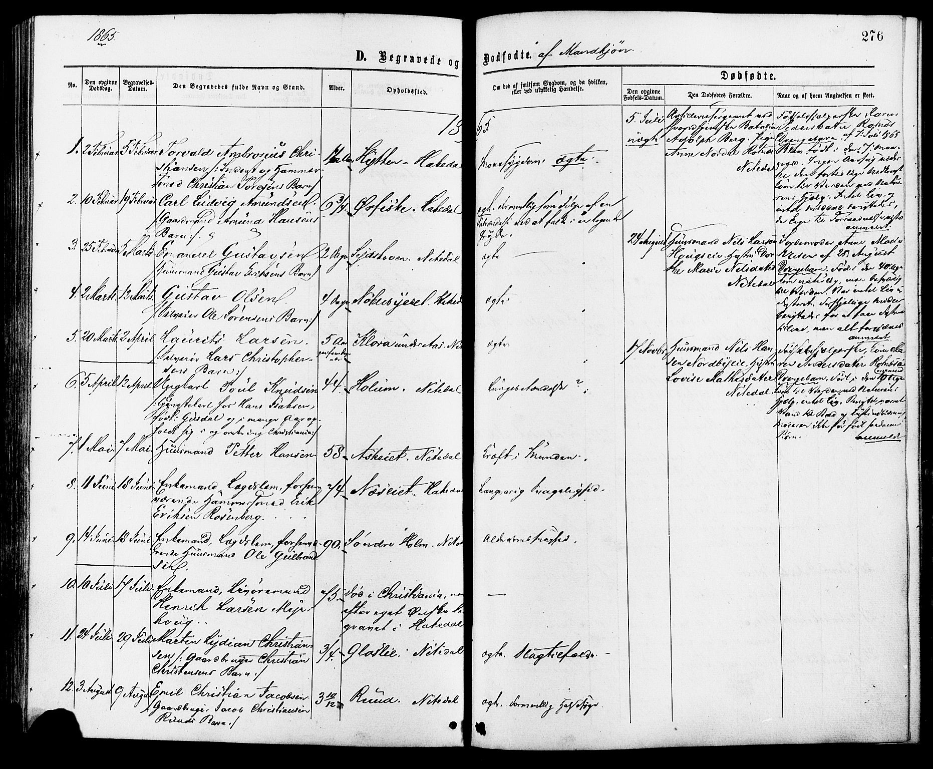 Nittedal prestekontor Kirkebøker, AV/SAO-A-10365a/F/Fa/L0006: Ministerialbok nr. I 6, 1863-1878, s. 276