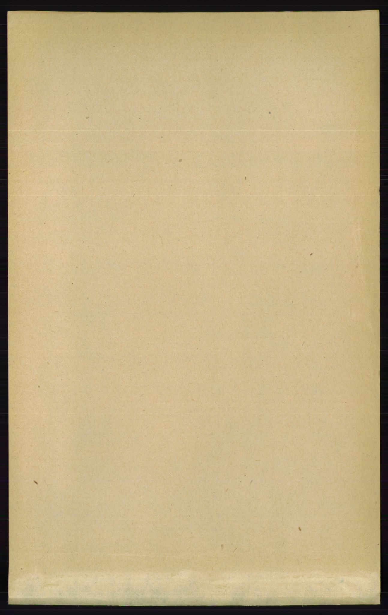RA, Folketelling 1891 for 0915 Dypvåg herred, 1891, s. 5774