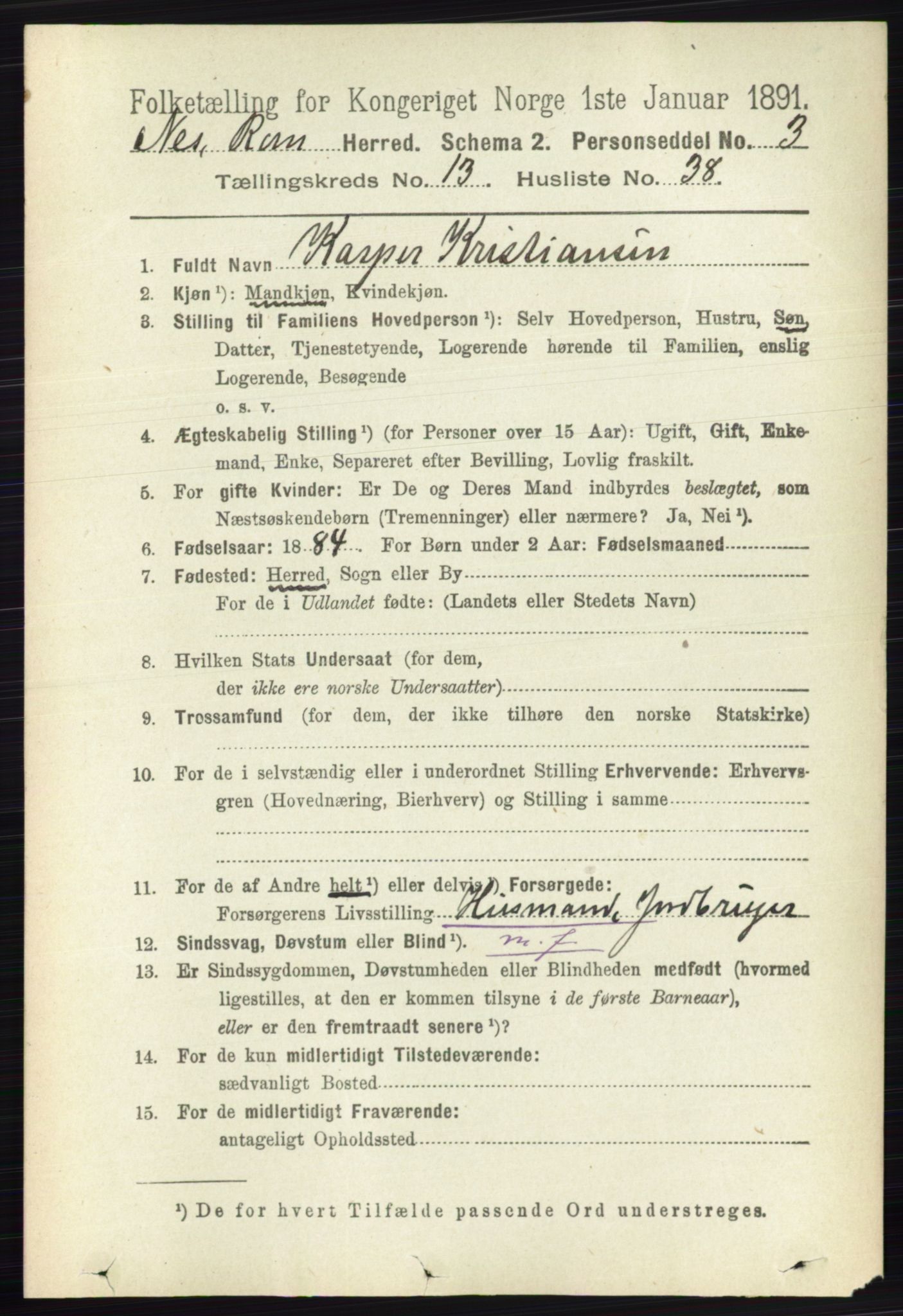 RA, Folketelling 1891 for 0236 Nes herred, 1891, s. 8062