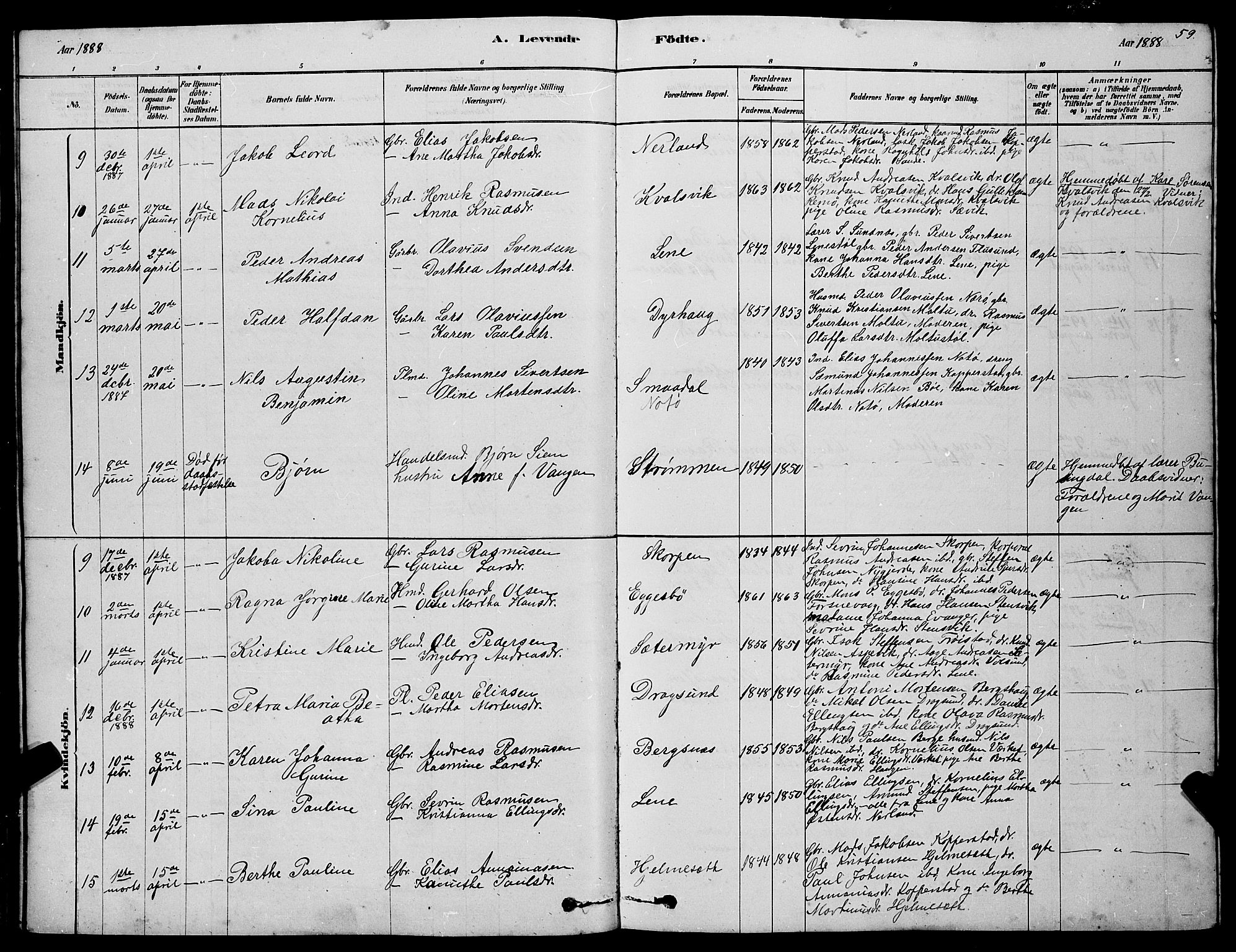 Ministerialprotokoller, klokkerbøker og fødselsregistre - Møre og Romsdal, AV/SAT-A-1454/507/L0081: Klokkerbok nr. 507C04, 1878-1898, s. 59