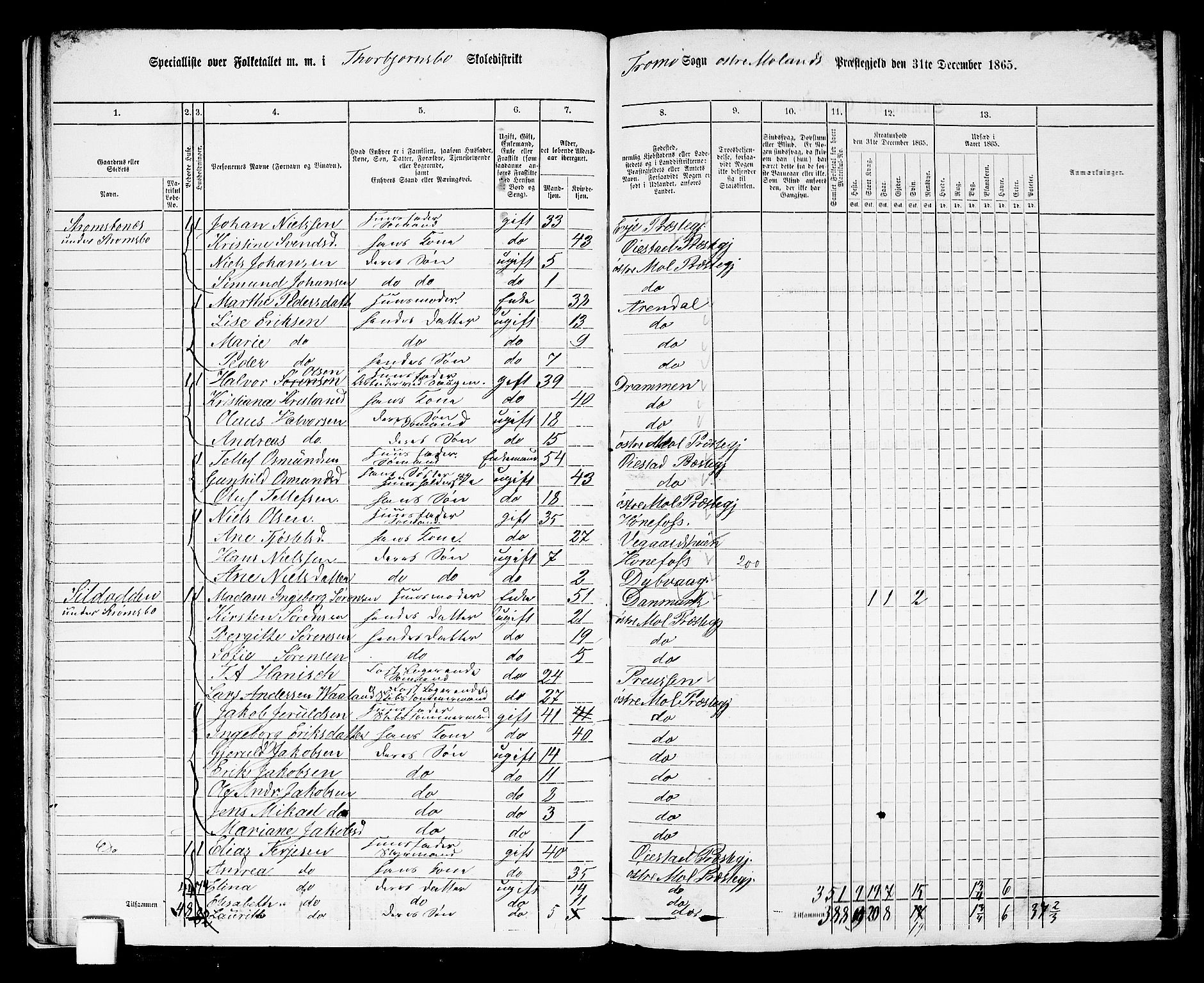 RA, Folketelling 1865 for 0918P Austre Moland prestegjeld, 1865, s. 29