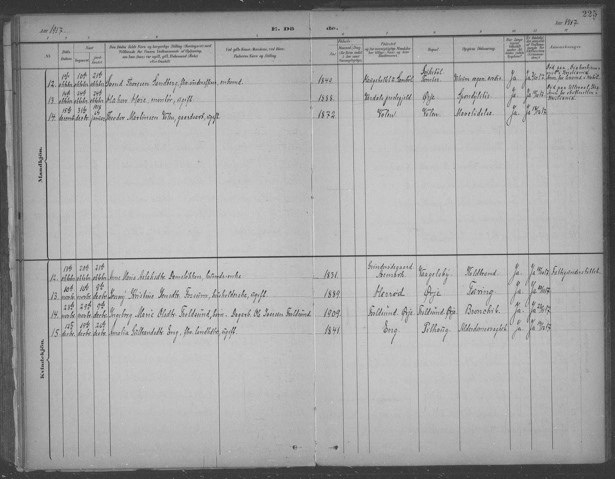 Aremark prestekontor Kirkebøker, AV/SAO-A-10899/F/Fb/L0005: Ministerialbok nr. II 5, 1895-1919, s. 225