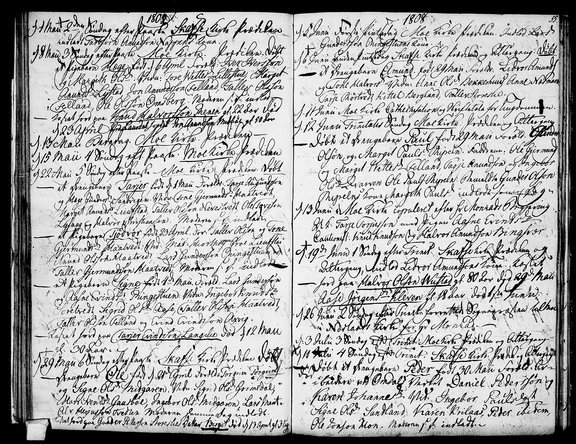 Mo kirkebøker, AV/SAKO-A-286/F/Fa/L0003: Ministerialbok nr. I 3, 1800-1814, s. 55