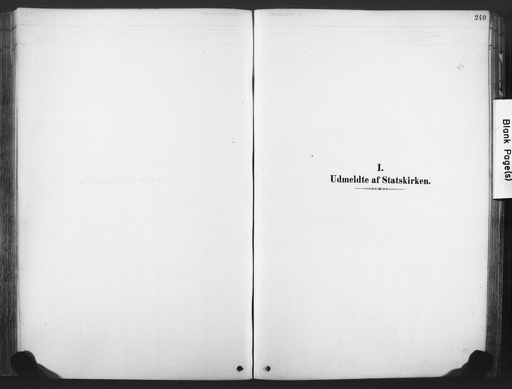 Rollag kirkebøker, SAKO/A-240/F/Fa/L0011: Ministerialbok nr. I 11, 1878-1902, s. 249