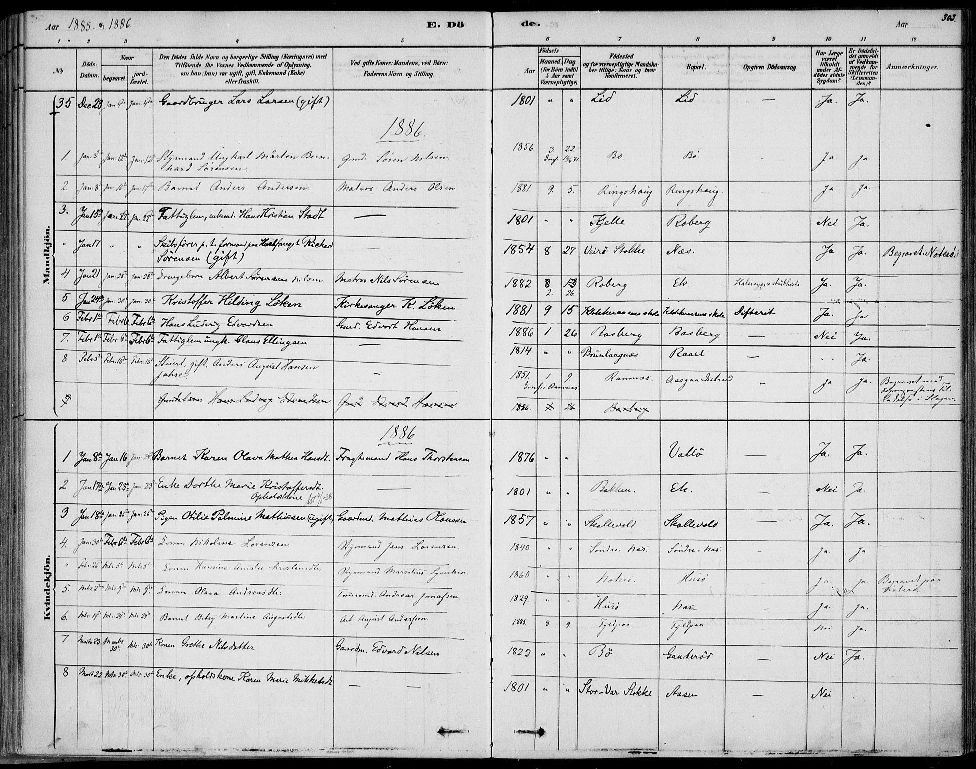 Sem kirkebøker, AV/SAKO-A-5/F/Fb/L0004: Ministerialbok nr. II 4, 1878-1891, s. 303