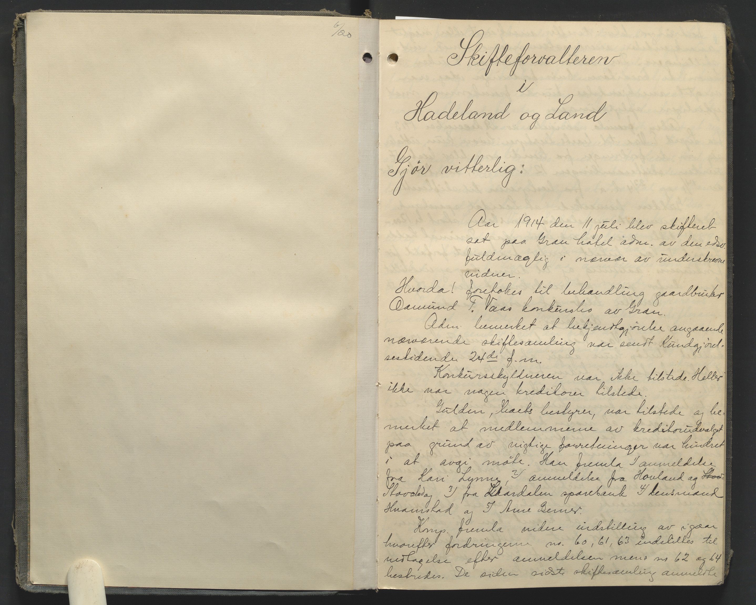 Hadeland og Land tingrett, AV/SAH-TING-010/J/Jc/L0010: Skifteforhandlingsprotokoll, 1914-1920, s. 1