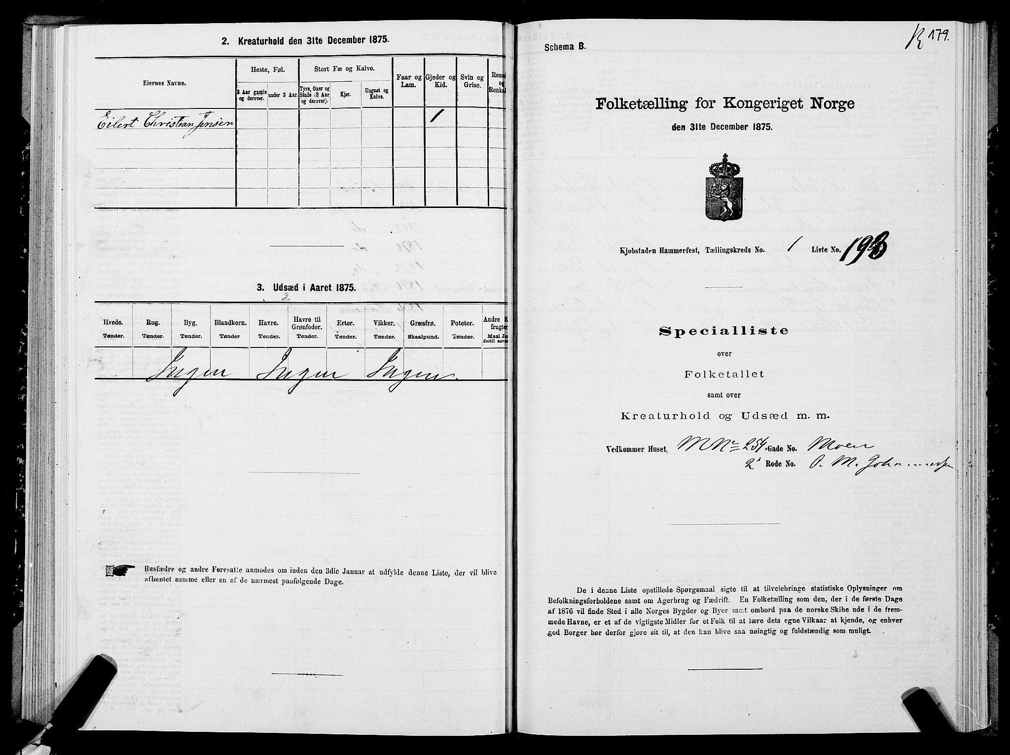 SATØ, Folketelling 1875 for 2001B Hammerfest prestegjeld, Hammerfest kjøpstad, 1875, s. 2179