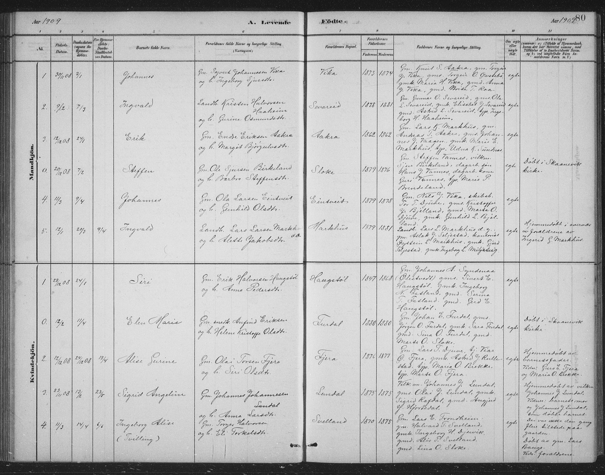 Skånevik sokneprestembete, AV/SAB-A-77801/H/Hab: Klokkerbok nr. B 2, 1881-1920, s. 80
