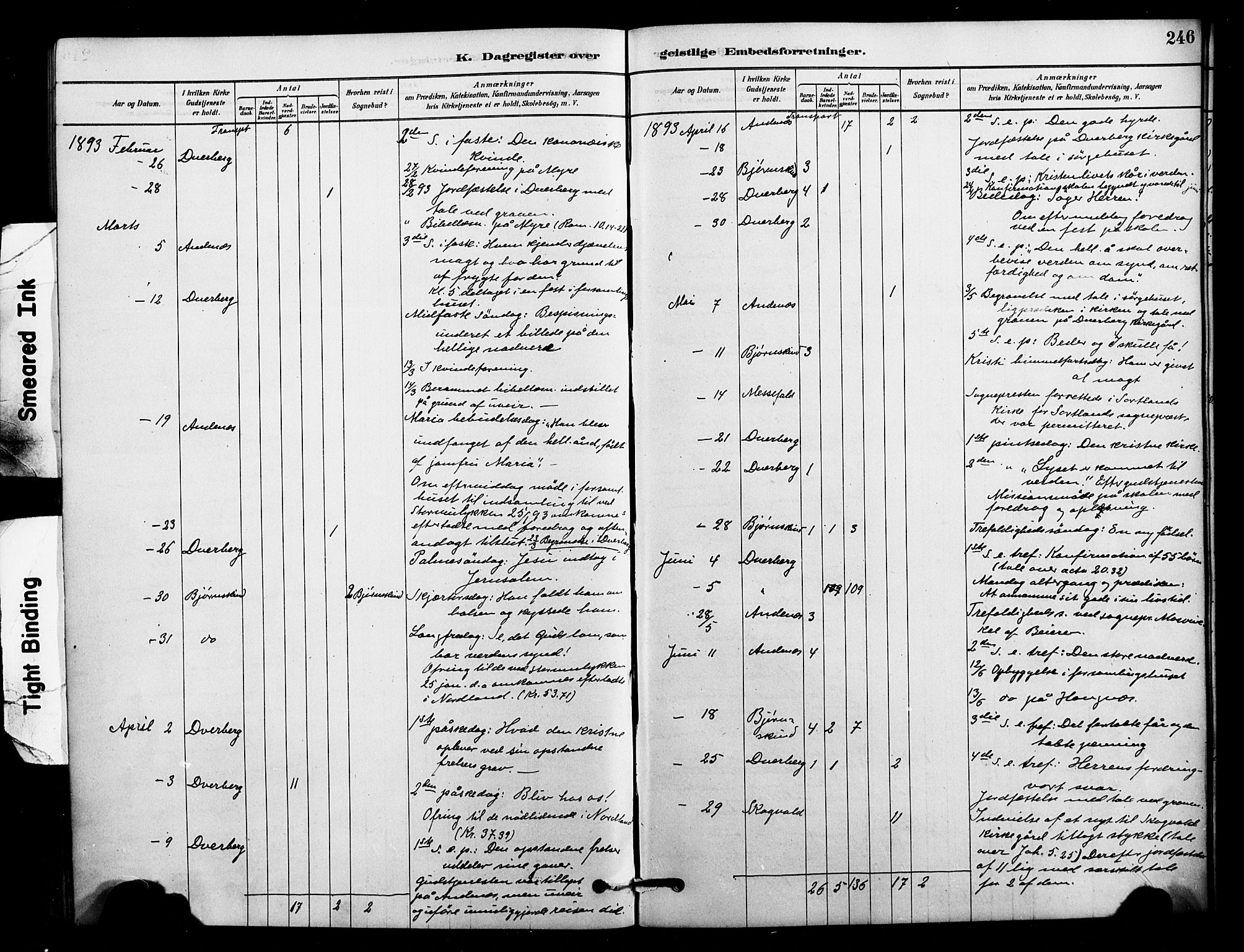 Ministerialprotokoller, klokkerbøker og fødselsregistre - Nordland, AV/SAT-A-1459/897/L1399: Ministerialbok nr. 897C06, 1881-1896, s. 246