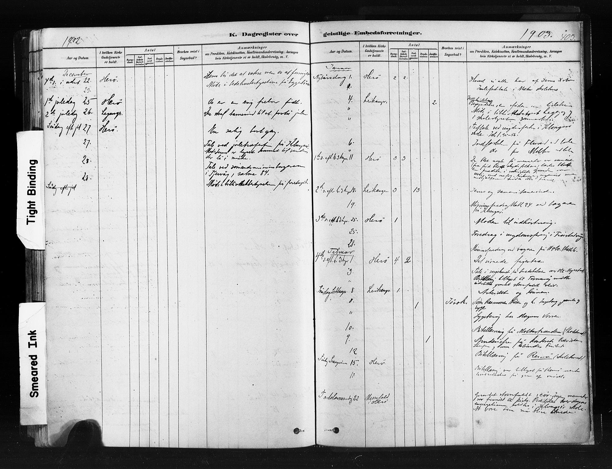 Ministerialprotokoller, klokkerbøker og fødselsregistre - Møre og Romsdal, AV/SAT-A-1454/507/L0073: Ministerialbok nr. 507A08, 1878-1904, s. 403