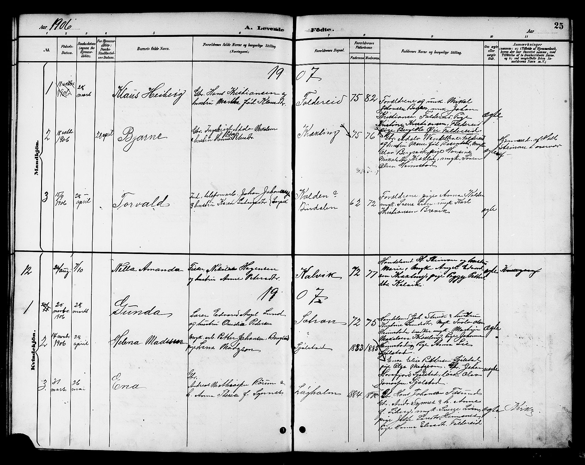 Ministerialprotokoller, klokkerbøker og fødselsregistre - Nord-Trøndelag, AV/SAT-A-1458/783/L0662: Klokkerbok nr. 783C02, 1894-1919, s. 25