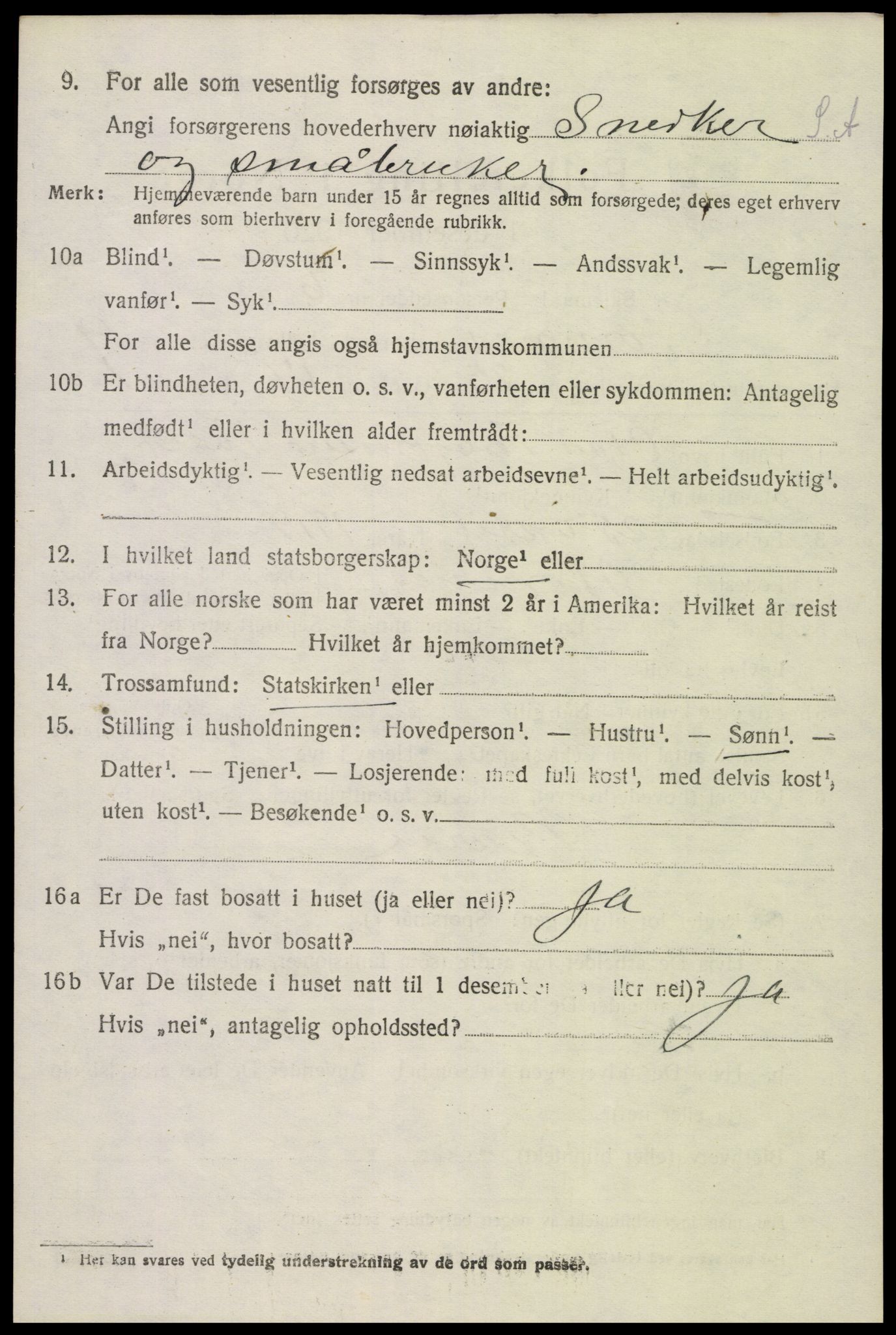 SAK, Folketelling 1920 for 0936 Hornnes herred, 1920, s. 2482