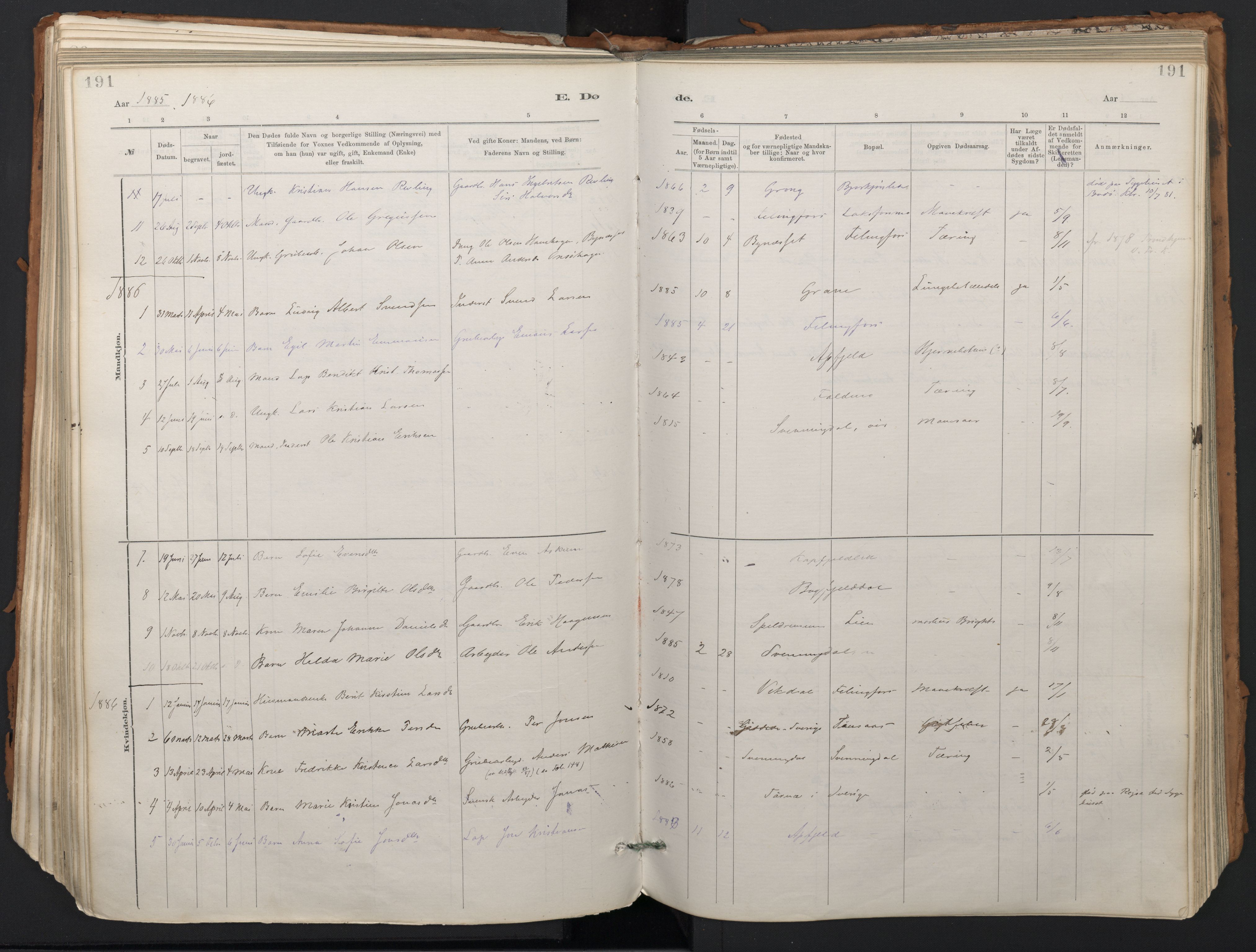 Ministerialprotokoller, klokkerbøker og fødselsregistre - Nordland, AV/SAT-A-1459/824/L0338: Ministerialbok nr. 824A01, 1880-1915, s. 191
