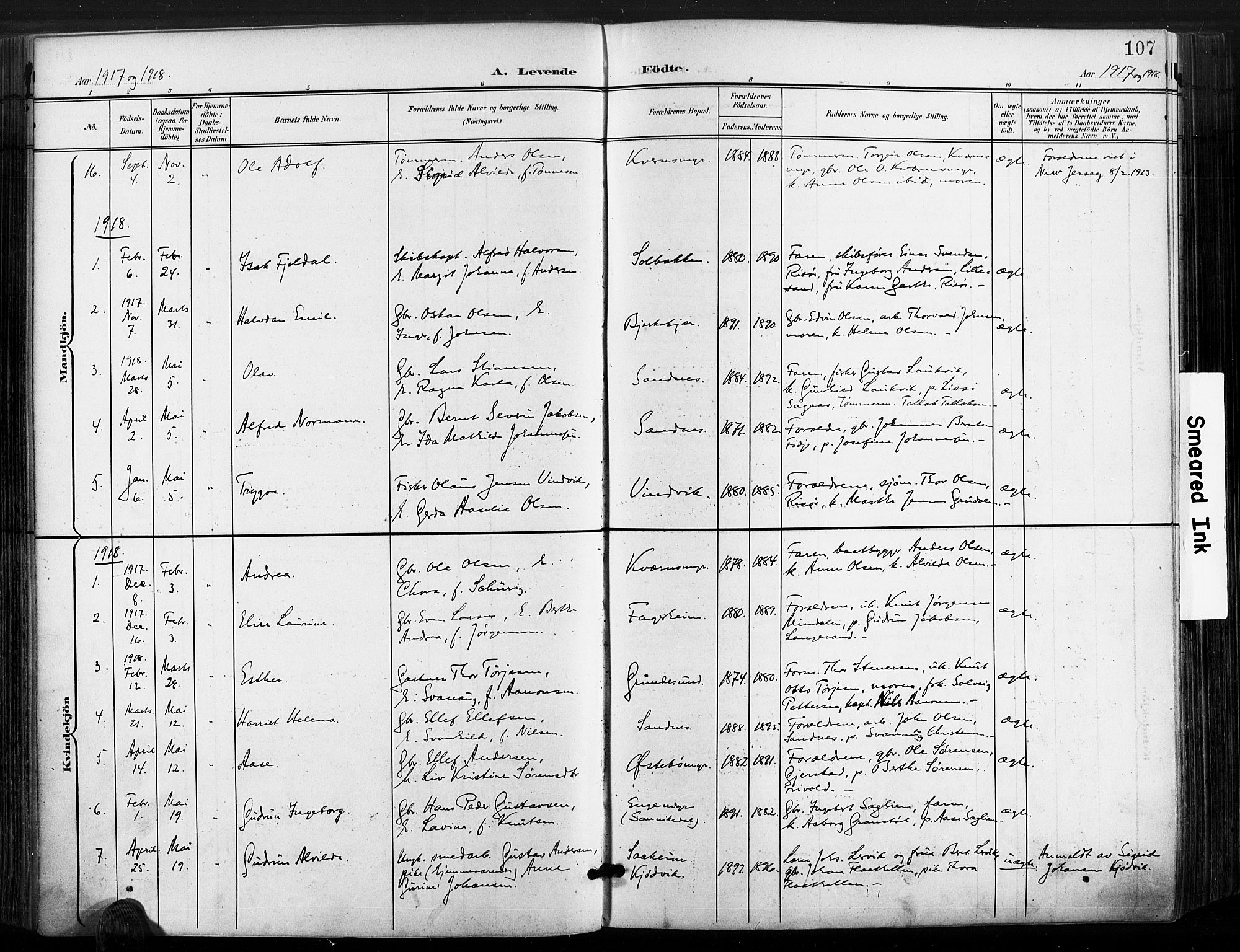 Søndeled sokneprestkontor, AV/SAK-1111-0038/F/Fa/L0006: Ministerialbok nr. A 6, 1900-1922, s. 107