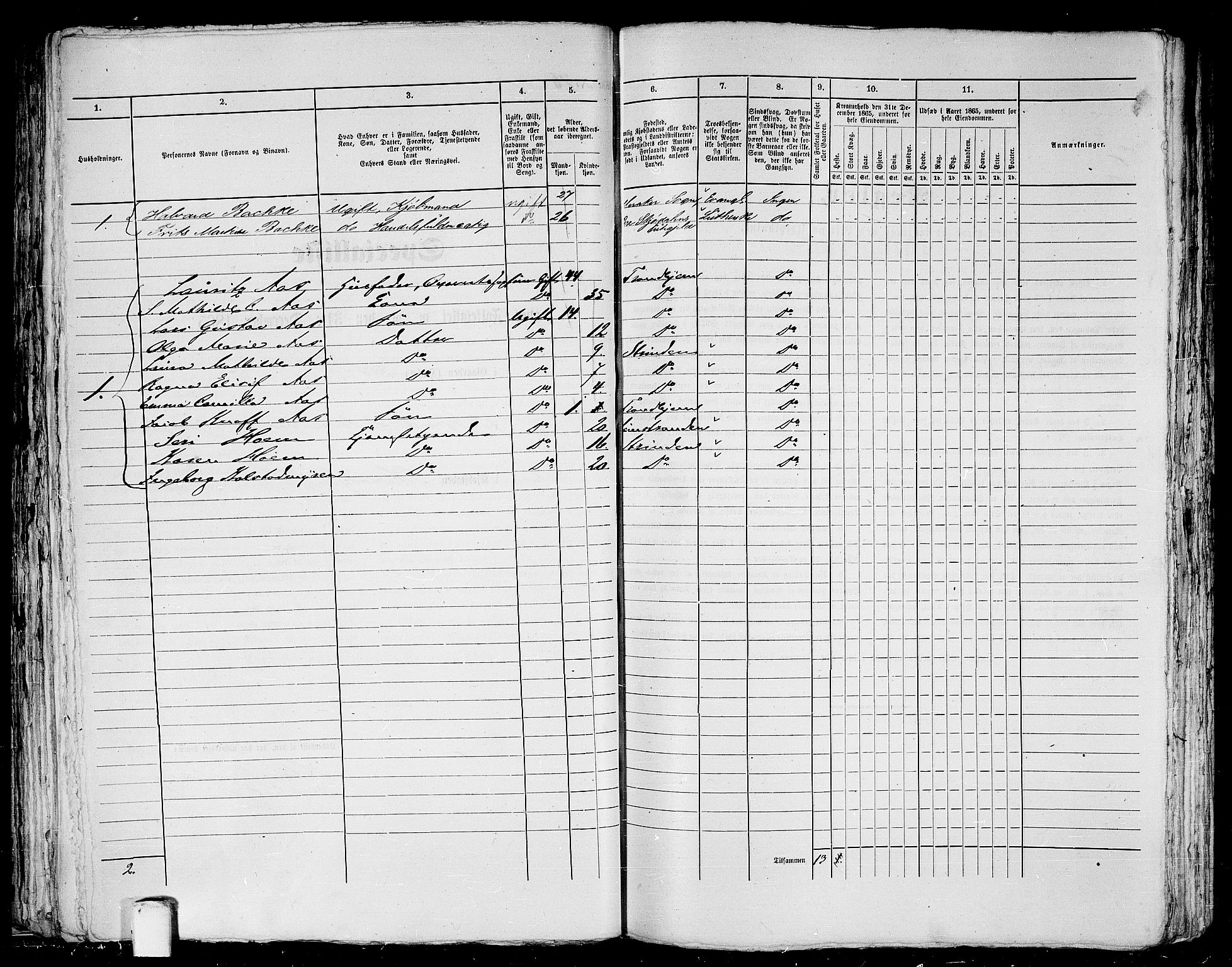 RA, Folketelling 1865 for 1601 Trondheim kjøpstad, 1865, s. 208