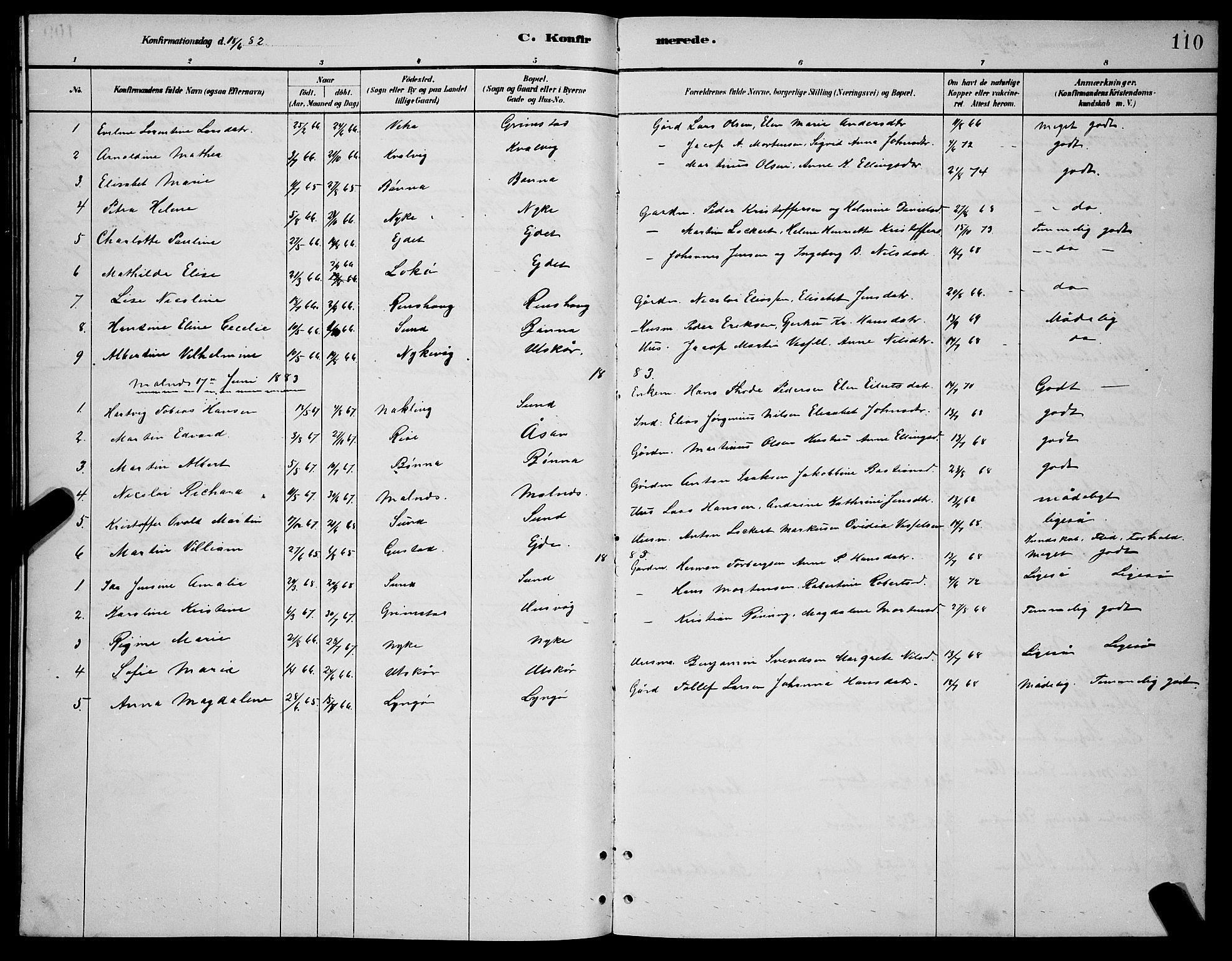 Ministerialprotokoller, klokkerbøker og fødselsregistre - Nordland, AV/SAT-A-1459/892/L1325: Klokkerbok nr. 892C02, 1878-1896, s. 110