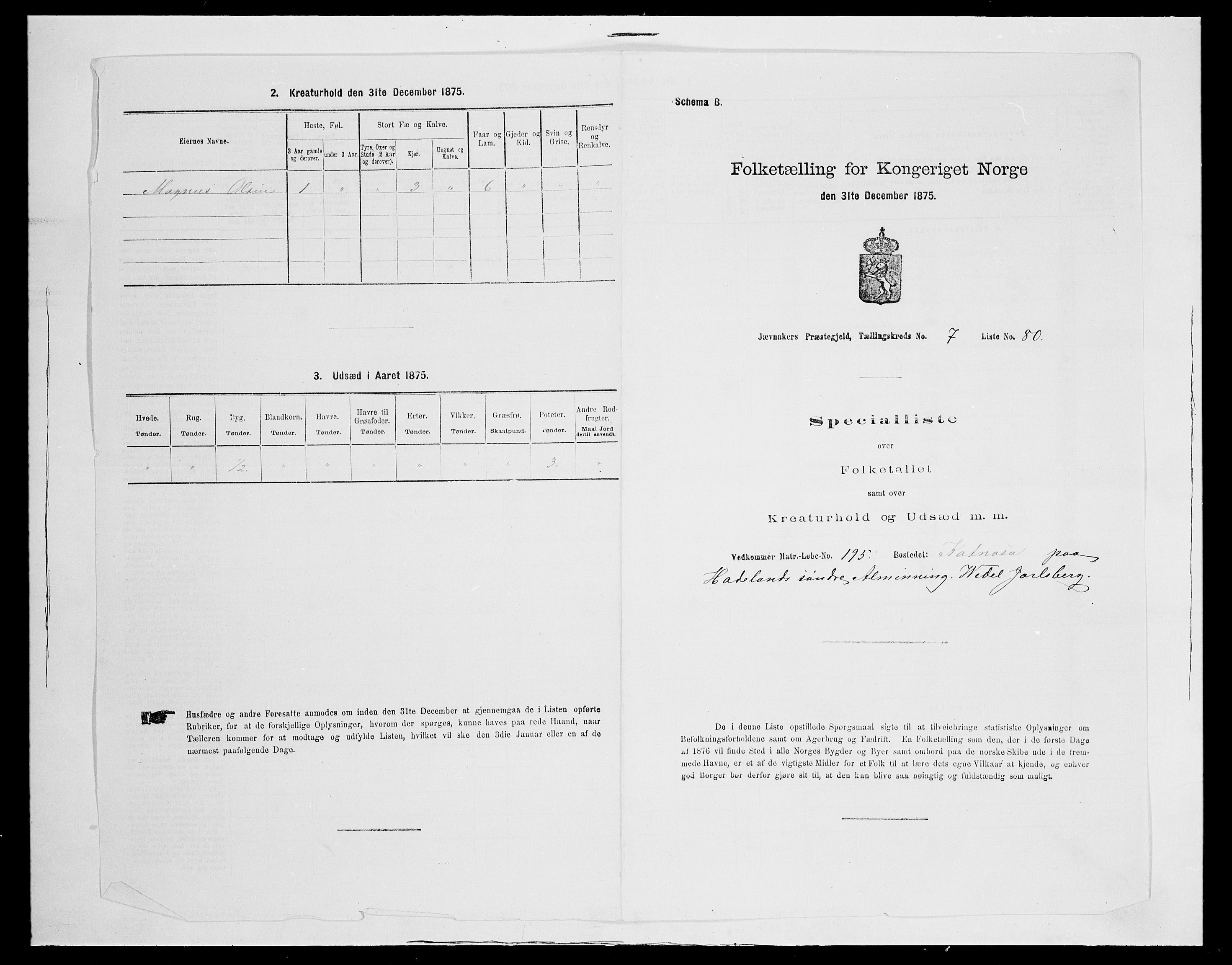 SAH, Folketelling 1875 for 0532P Jevnaker prestegjeld, 1875, s. 1318